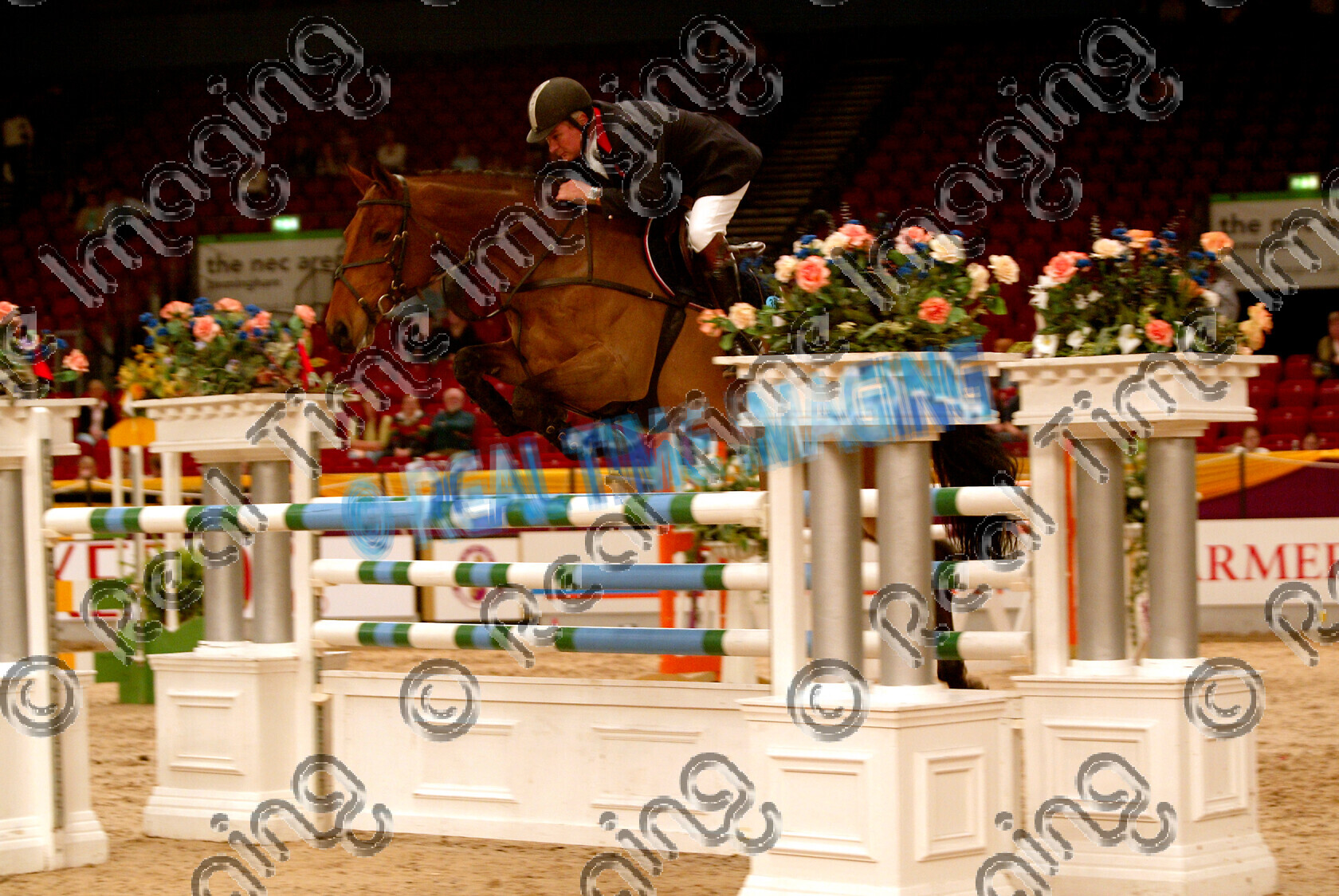 S05-68-T2-106 
 HOYS 2005: Top Tack International HOYS Grade C Champion 
 Keywords: horse of the year show 2005 05 hoys sunday 16 10 october showjumper showjumping 12 Top Tack International Grade C Champion 359 Cassius Clay II Geoff Billington bay jump jumping fence action