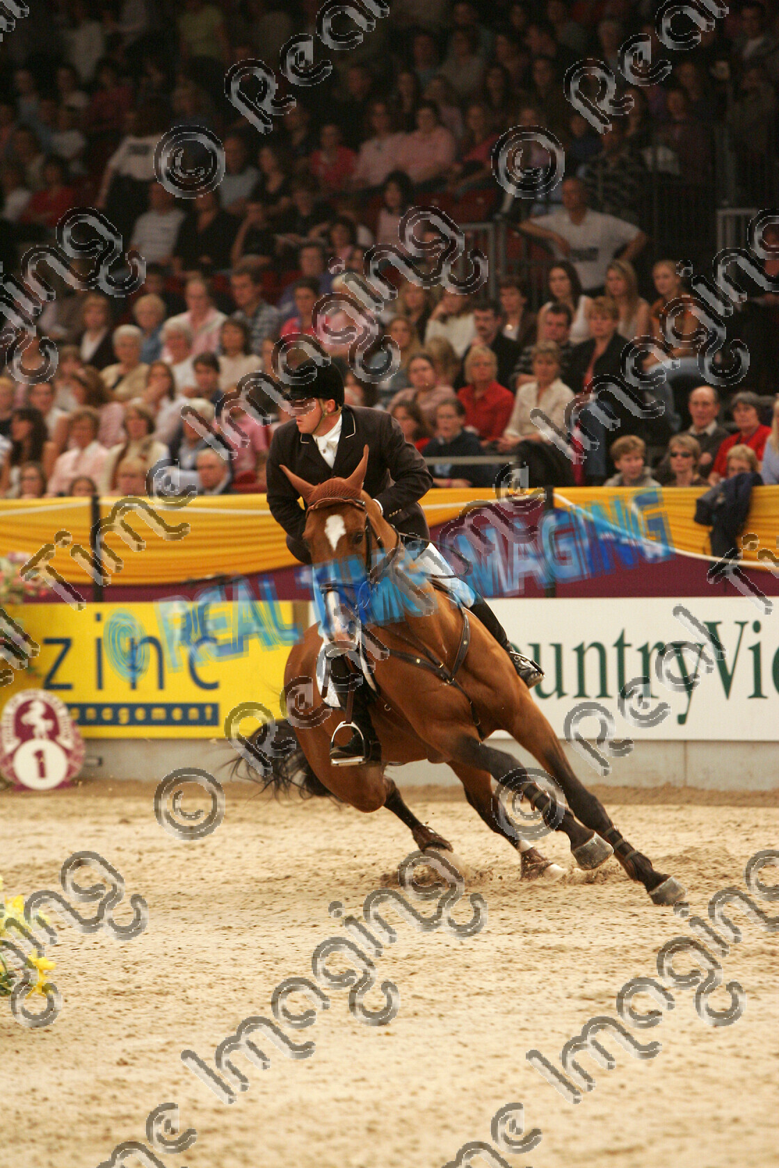 S05-67-10-026 
 HOYS 2005: The Accumulator Winner 
 Keywords: horse of the year show 2005 05 hoys saturday 15 10 october showjumping showjumper 22 Accumulator Winner 78 Andiamo Z Kristof Cleeren bay stallion action turn canter gallop