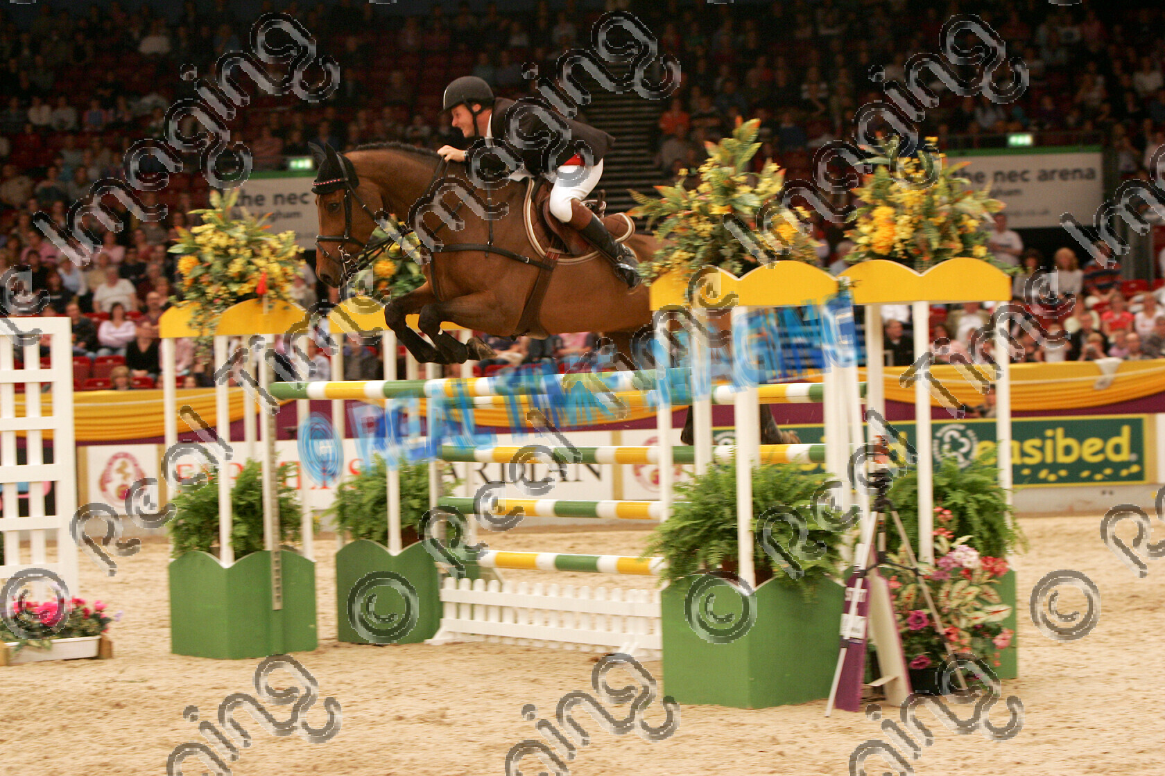 S05-66-16-060 
 HOYS 2005: The Golden Bear Classic Winner 
 Keywords: horse of the year show 2005 05 hoys october 10 14 friday showjumping showjumper 19 Golden Bear Classic winner 87 Nairobi Leon Thijssen bay gelding jump jumping fence action
