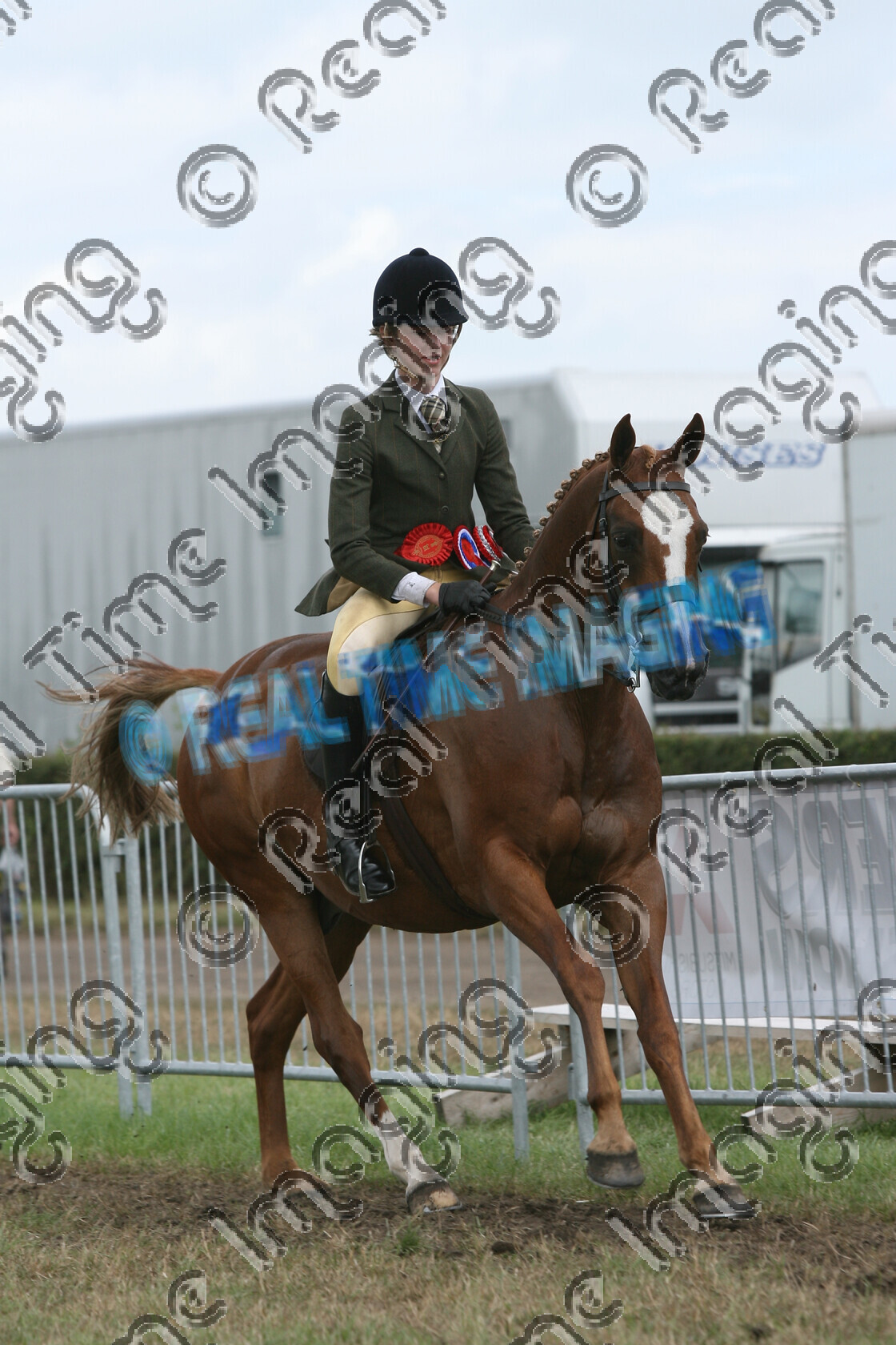 S07-31-7-069 
 Keywords: 962, HAMPTONNE FAIR & SQUARE, HOYS, Open, Show Hunter Pony SHP, Championship, Champion, winner win won, `Owner: , Binks, Mr R, June 2007, Cheshire County Show, Tabley, Knutsford, Cheshire, chestnut, Rosette, child rider, horse pony, sport, `Rider: , Joseph Thurston, Canter, upright portrait, lap of honour