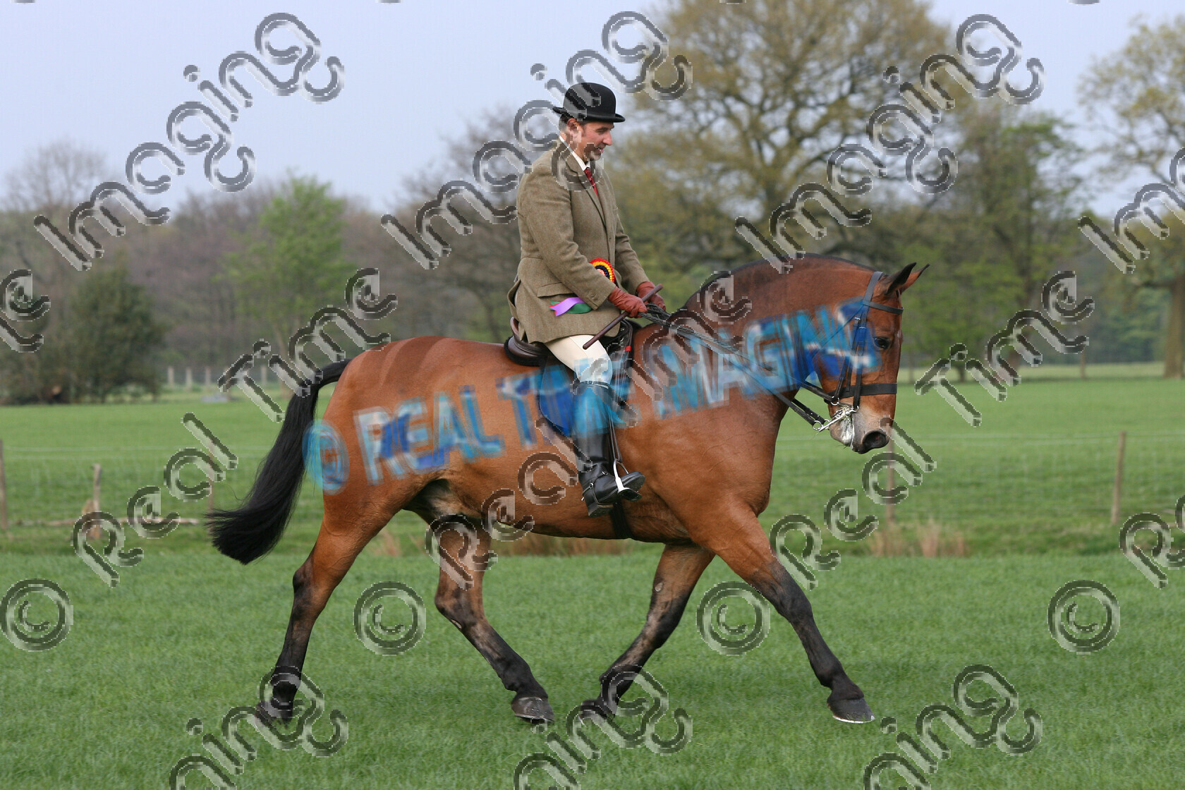 S07-17-05-289 
 Keywords: trot Amateur Rider Champion Cob Bay Gelding North Of England Show Spring Dr Bob Ian Darcy Osbaldeston EC horse pony showing Rosette winner won