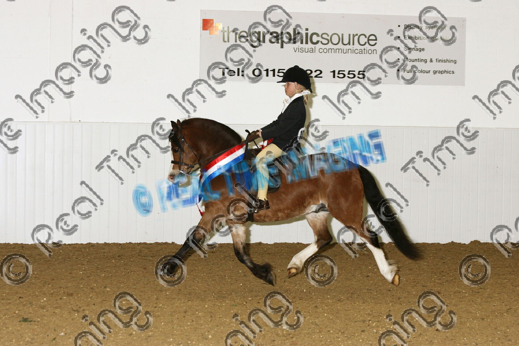 S07-15-15-013 
 Keywords: BSPS Winter Championship Show April 2007 Arena UK winner champion first place top placed Winter Heritage open Ridden champion 1031:Glenwood Caradog Owner: Mrs G. Atkinson bay child rider sash sashes rosette rosettes trot trotting action moving flat lap of honour