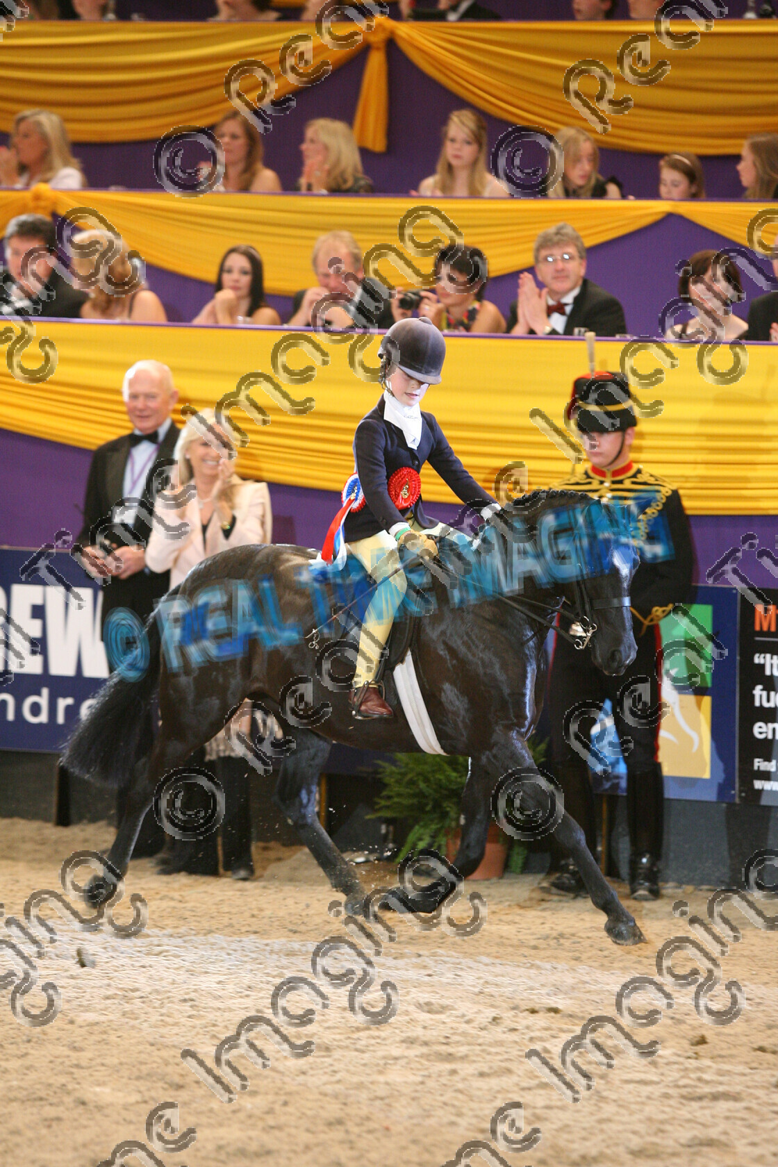 S09-69-13-059 
 Keywords: HOYS Horse Of The Year Show NEC LG Arena Birmingham UK Saturday 10 October 2009 indoors 1372 GREYLANDS MAID IN THE DARK black mare 122cm SHP Show Hunter Pony Champion Owner: Mrs D L Thomas Rider: Katie Roberts Supreme Pony Champion