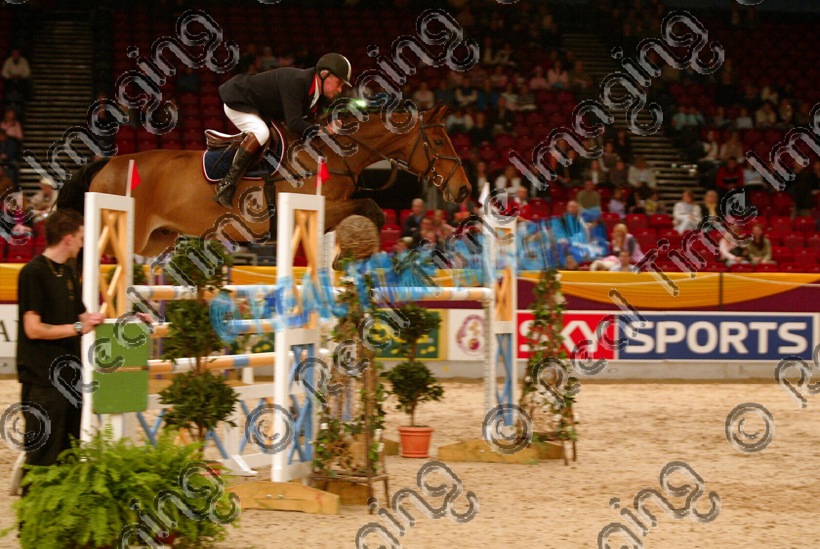 S05-68-T2-107 
 HOYS 2005: Top Tack International HOYS Grade C Champion 
 Keywords: horse of the year show 2005 05 hoys sunday 16 10 october showjumper showjumping 12 Top Tack International Grade C Champion 359 Cassius Clay II Geoff Billington bay jump jumping fence action
