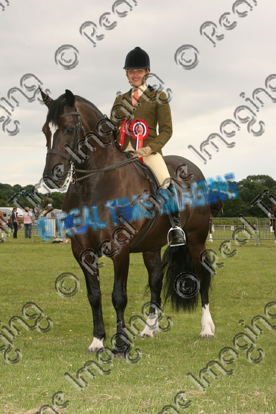 S09-31-9-170 
 Keywords: NCPA Staffordshire Country Festival, Staffs, Walsall Airport, Aldridge, UK, Sunday, 5, July, 2009, upright portrait, HOYS, Mountain and Moorland M&M, Championship, Reserve, Supreme, Ridden, Champion, 572, `Rider: , Tracey Millward, Welsh Section D, black, stallion, Native Breed, Rosette, stand, presentation