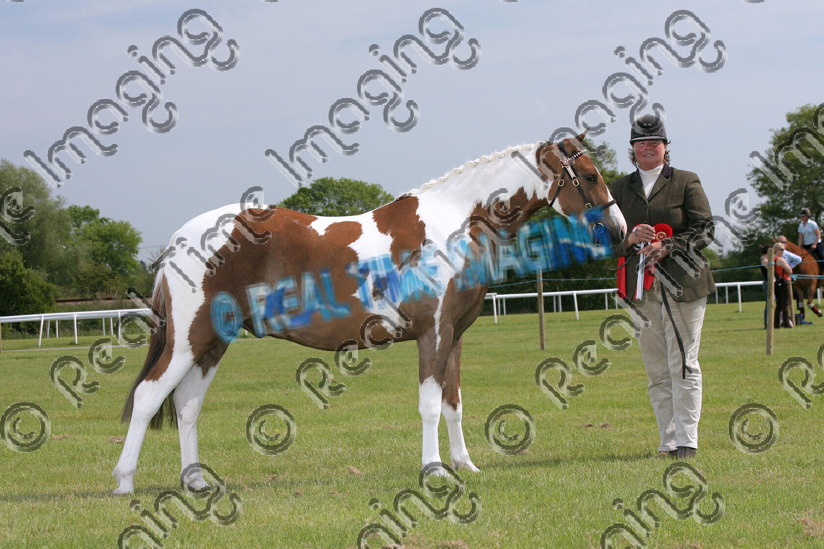 S07-28-02-014 
 Keywords: 132 MILLPOND LOOK SO CHEEKY CHAPS (UK) Open In Hand Coloured Championship Owner: Handler: Mrs K Allen 3 June 2007 Midland Counties Show Uttoxeter Racecourse Youngstock Champion winner win won stand chestnut tobiano coloured colored paint Gelding view landscape horse pony Rosette skewbald