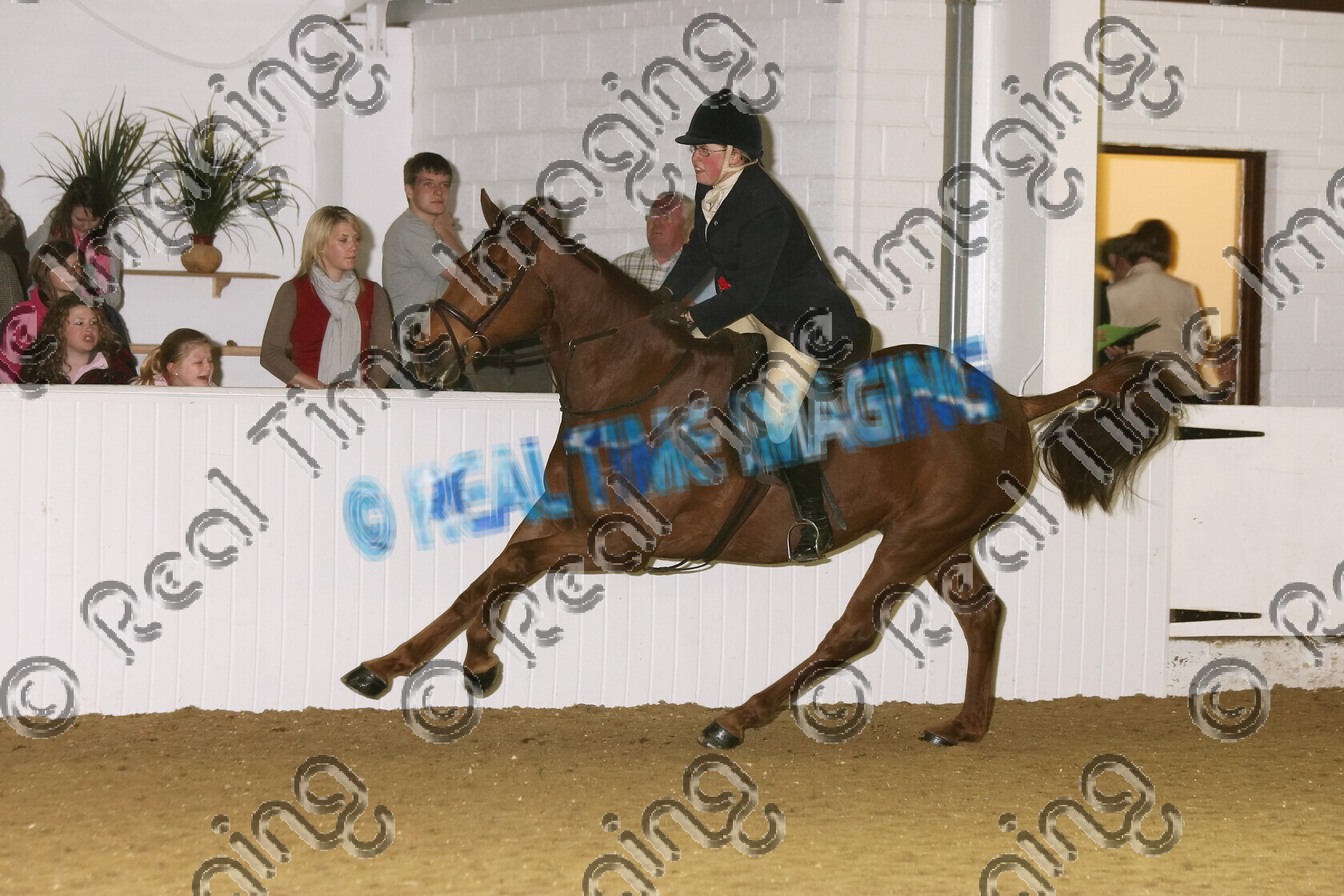 S07-15-15-267 
 Keywords: BSPS Winter Championship Show April 2007 Arena UK winner champion first place top placed Winter Open WHP Champion 311: LOUGH CREW Owner rider: Christine richardson Chestnut gelding working Hunter gallop galloping action moving flat