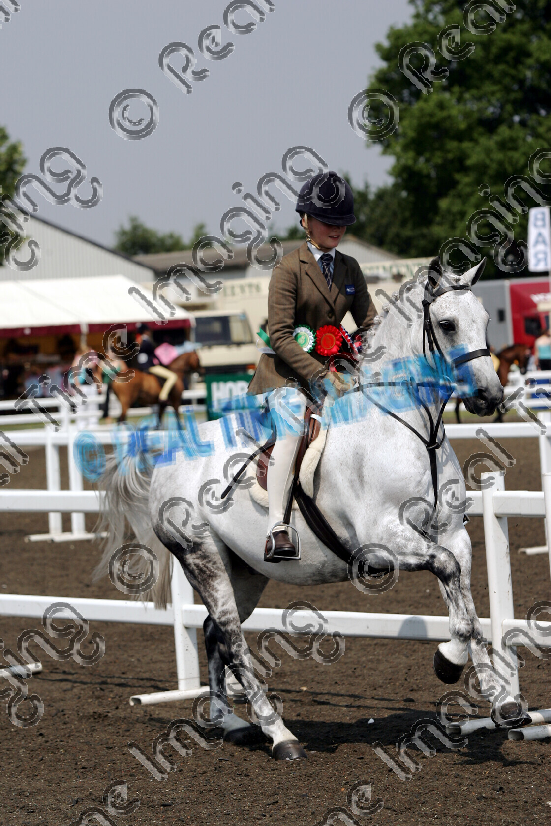 S06-30-3-154 copy 
 Keywords: The Royal Show rosette rosettes prize winner horse pony show showing Sunday 2 July 2006 canter cantering action championship champion ridden mounted 821 John's Choice ridden by Izzy Dixon,
Mrs Yvette Dixon grey gray gelding Best Working Hunter Pony