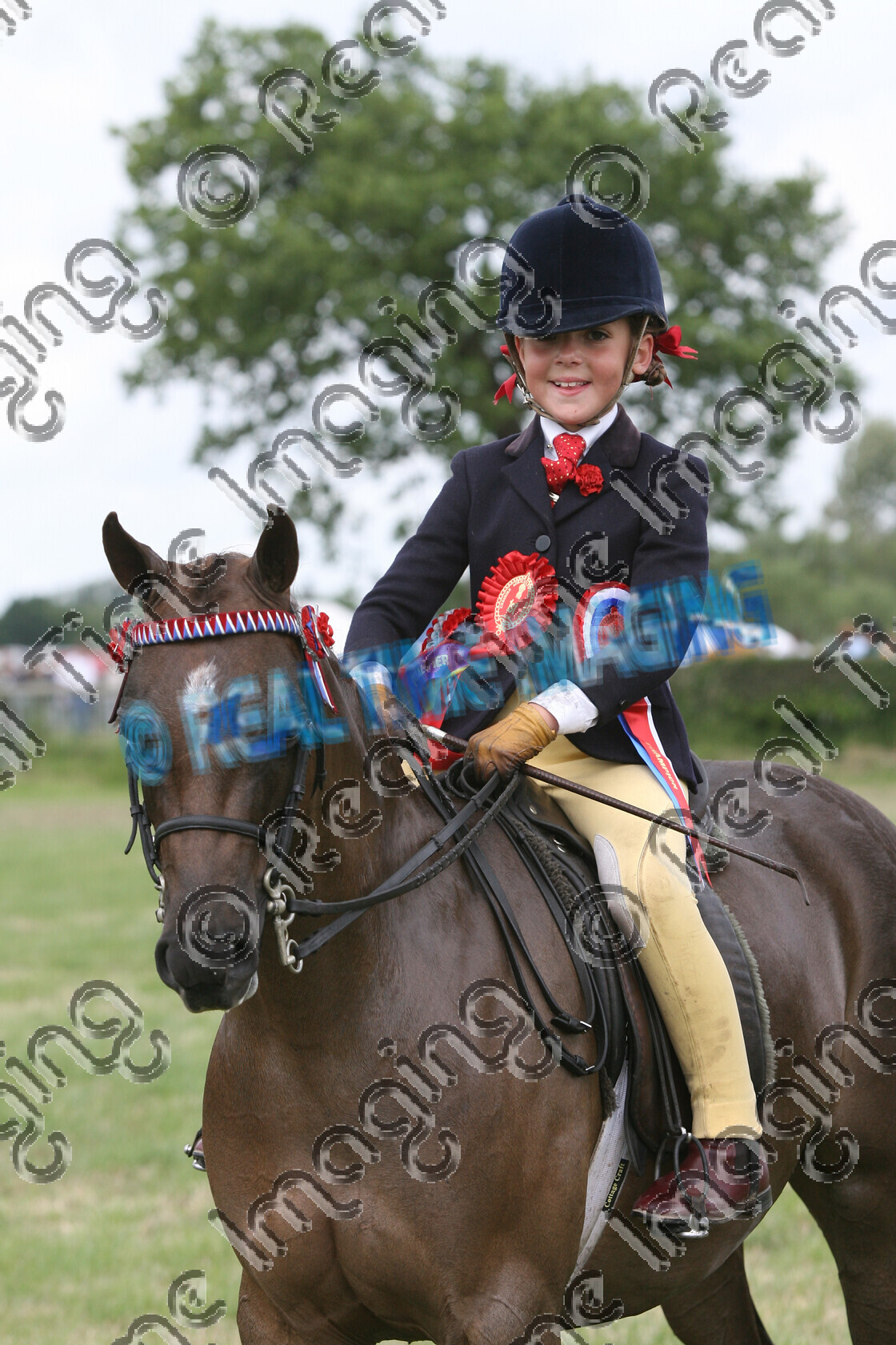 S07-31-5-106 
 Keywords: 1224, KOLBEACH HOLLYS DIAMON, HOYS, Open, Ridden, Show Pony, Championship, Champion, winner win won, `Owner: , Thomas, Mrs D L, `Rider: , Katie roberts, June 2007, Cheshire County Show, Tabley, Knutsford, Cheshire, chestnut, close up, stand, presentation, upright portrait, brow band, child rider, horse pony, sport, Rosette