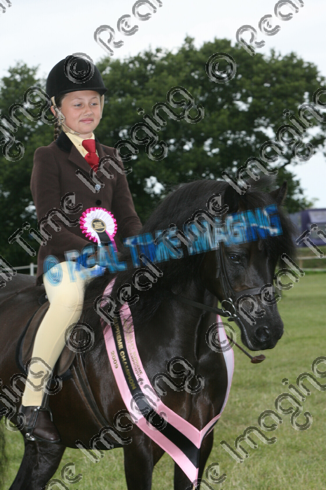 S09-36-04-048 
 Keywords: North Of England Pony Show, Warren Farm, Merseyside, UK, Saturday, 11, July, 2009, upright portrait, The , Lilley, Supreme, Mini, Championship, Champion, winner win won, 418, DYKES DIPLOMEAD, `Owner: , Turner, H, `Rider: , Jessica Duncalf, black, child rider, Rosette, sash, stand, presentation, close up