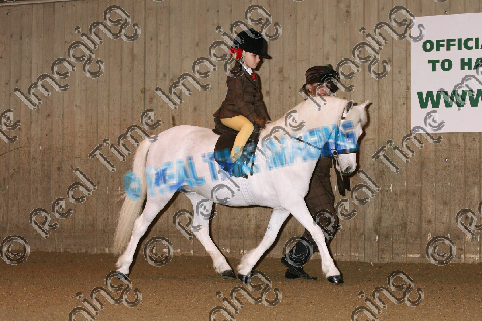 S08-03-03-164 
 Keywords: 9 March, 2008, Hartpury College, Gloucester, UK, BSPS Area 9B, South western Counties Show, RIHS, M&M Mini Champion, Reserve Supreme Champion, 458, ABBEYBELLS QUEEN ADELAIDE, Owner Mrs cartlidge, Rider: Poppy Carter, Lead rein, grey gray white, native pony, indoors, trot, stand, presentation, sash, child, view