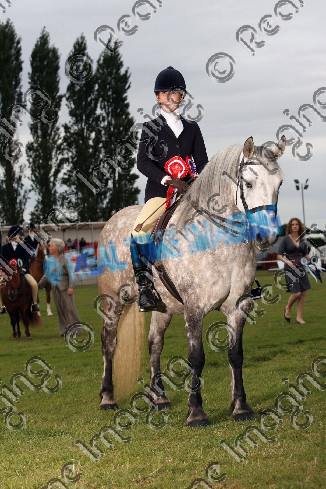 S08-46-07-063 
 Keywords: Ponies (UK) Summer Championships, Newark & Notts Showground, Nottinghamshire, UK, upright portrait, Saturday, 16 August, 2008, HOYS, Ridden, Mountain and Moorland M&M, Championship, 1st first, Champion, winner win won, 140, DUNEDIN MAY ROSE, `Owner: , Flynn, Mrs S T, `Rider: , Emily Flynn, dappled grey gray, dun, Highland, Native Breed, evening performance, presentation, stand, Rosette
