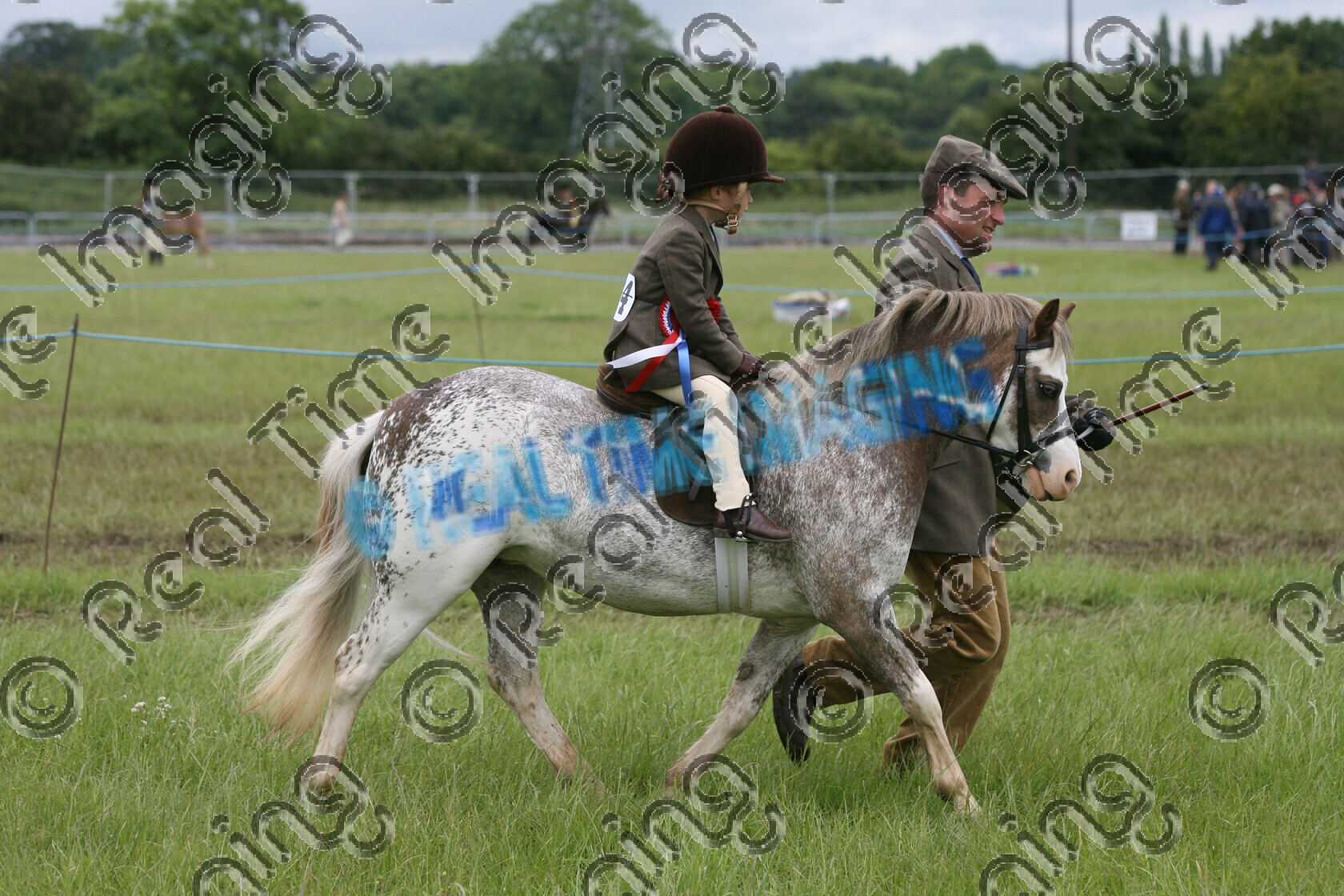 L07-04-01-079 
 Keywords: Derbyshire County Show, Elvaston, Derby, UK, 24 June 2007, 164, BRYNTOWY SPICE GIRL, NPS, Mountain and Moorland M&M, Mini, Championship, Champion, winner win won, `Owner: , Blythe, Mrs S, `Rider: , Joshua Blythe, chestnut, roan, trot, lap of honour, view landscape, child rider, horse pony, sport, Rosette