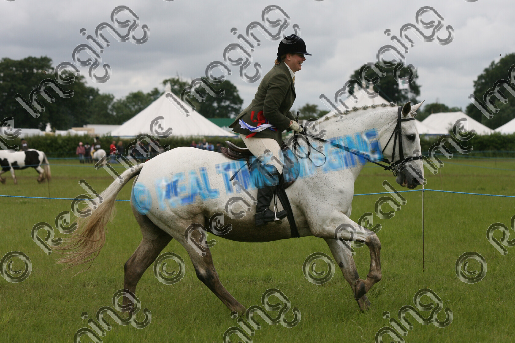 L07-04-01-062 
 Keywords: Derbyshire County Show, Elvaston, Derby, UK, 24 June 2007, 117, MIDNIGHT BLAZE, Irish Draught, Championship, Champion, winner win won, `Owner: , `Rider: , Leanne Howells, white, grey gray, Canter, lap of honour, view landscape, horse pony, sport, Rosette, mud