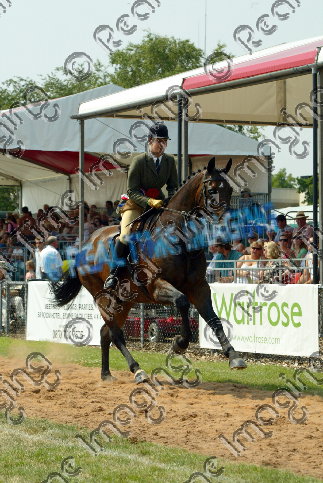 S06-30-T3-030 copy 
 Keywords: The Royal Show rosette rosettes prize winner horse pony show showing Sunday 2 July 2006 championship champion ridden mounted gallop galloping action moving flat 189 Omega's Boy ridden by Adele Hanson, Mrs Adele Hanson Working Hunter
 bay gelding