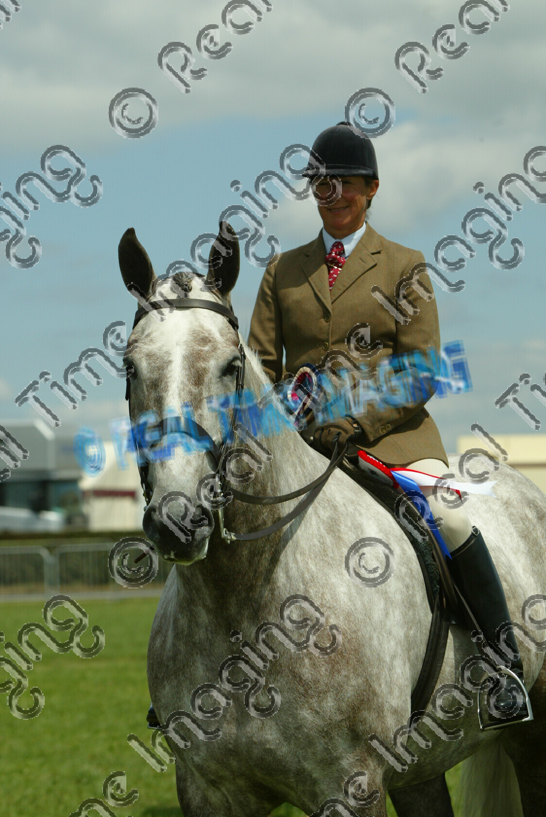 S06-26-T2-005 
 Keywords: Cheshire County Show
Tuesday 20 June 2006
2238 SILVER STREAM
rider Jayne Webber
dappled grey gray
Heavyweight Hunter
horse pony show showing
standing stood
rosette rosettes prize winner
champion first best
presentation award