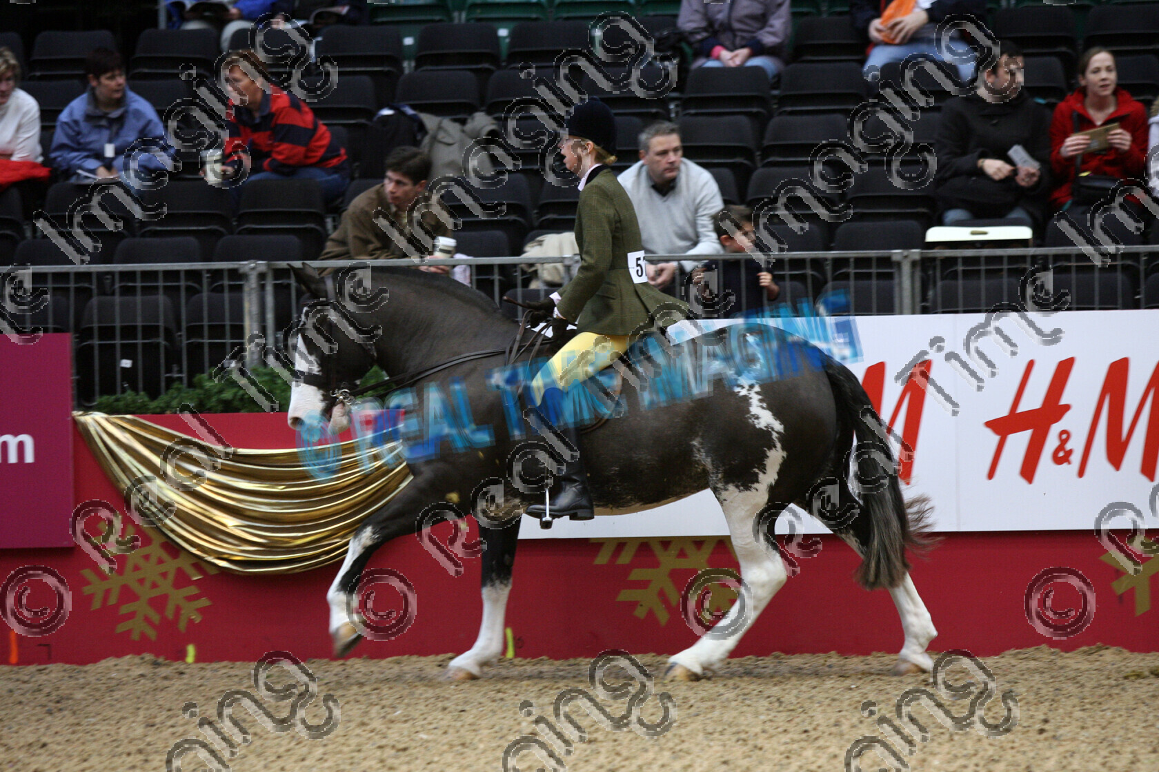 S08-61-01-044 
 Keywords: The London International Horse Show, Olympia, UK, Sunday, 21, December, 2008, view landscape, The Veteran Horse Society, Championship, 575, 3rd third, SUPER SPLASH, `Rider: , Alison Hinchcliffe, 15 years old, coloured colored paint, piebald, Cob, indoors, flat, Canter