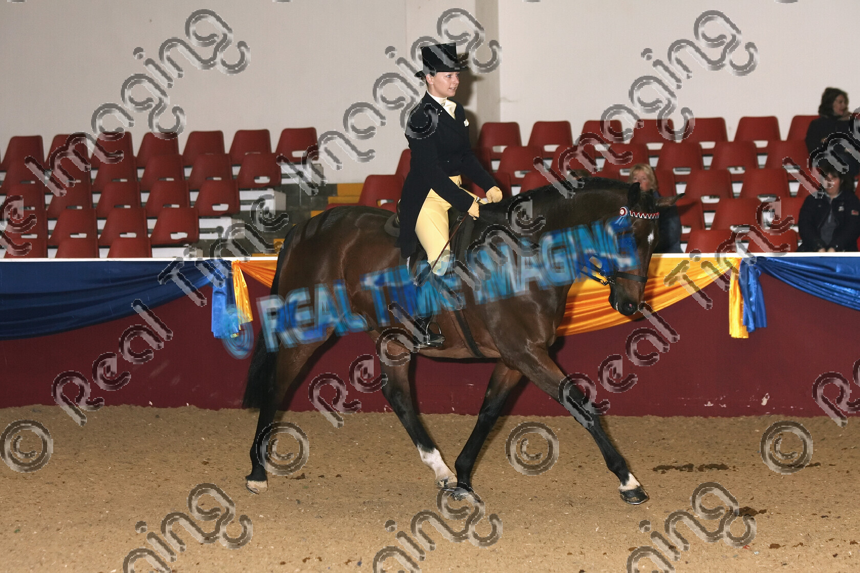 S07-08-19-031 
 Keywords: Emily Curtis trot 212 DOUBLE CHANCE Bay Gelding Amateur Rider Riding Horse Open Ponies (UK) Winter Championships Unex Towerlands Brow band horse pony showing Indoors winner won Rosette