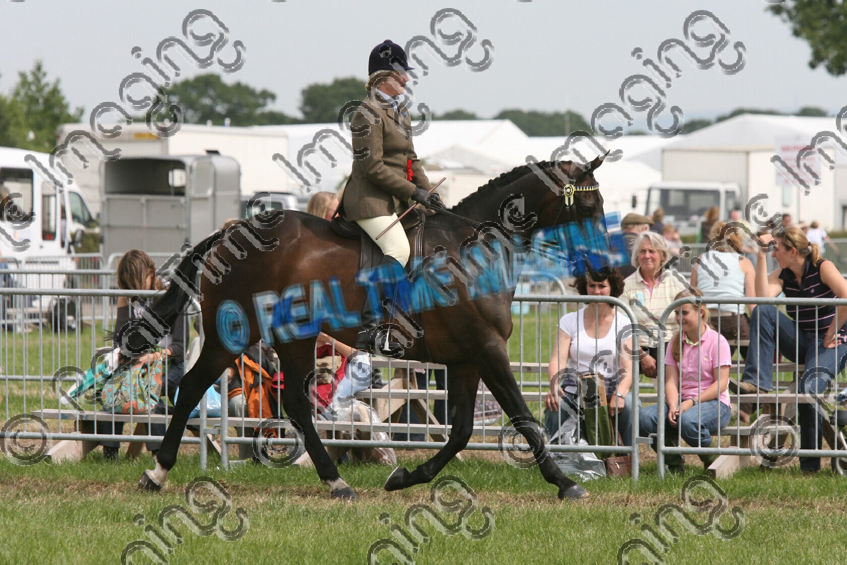 S07-30-8-013 
 Keywords: 1429, MARSHBROOK MASTERPIECE, HOYS, Riding Horse, Championship, Champion, winner win won, `Owner: , `Rider: , S Moran, June 2007, Cheshire County Show, Tabley, Knutsford, Cheshire, Bay, Rosette, Small, Novice, view landscape, trot, horse pony, sport, brow band