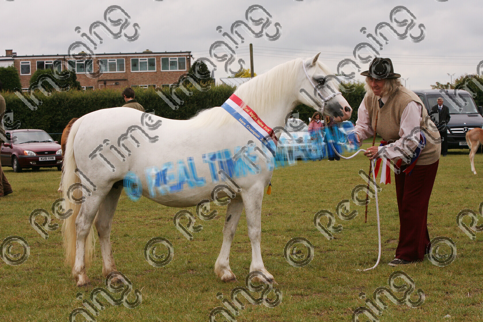 S09-25-05-165 
 Keywords: East Anglian Native Pony Society Annual Show, Huntingdon Racecourse, Cambridgeshire, UK, Sunday, 7, June, 2009, view landscape, Mare, Championship, 1st first, Champion, winner win won, 400, SPRINGLANE PROSPERITY, `Owner: , Wales, Mrs, white, broodmare, grey gray, Welsh Section A, Mountain and Moorland M&M, Native Breed, in hand, sash, Rosette, stand, presentation