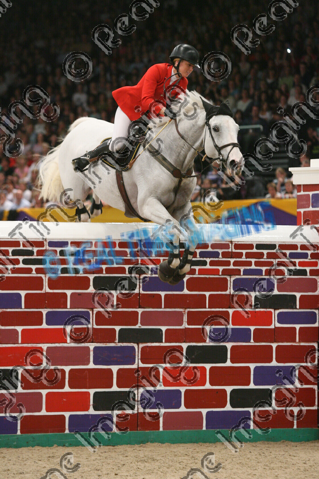 S09-69-15-036 
 Keywords: 43, HOYS, LADINA B, Owner: Steven Whitaker & Dawn Makin, Puissance, Rider: Ellen Whitaker, Saturday 10 october 2009, The Horse Of The Year Show, showjumping NEC LG Arena Birmingham UK indoors