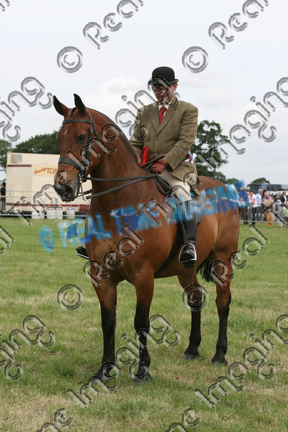 S07-30-3-102 
 Keywords: 644, DR BOB, HOYS, Ridden, Cob, Championship, Champion, winner win won, `Owner: , `Rider: , Ian Darcy, June 2007, Cheshire County Show, Tabley, Knutsford, Cheshire, Bay, Rosette, horse pony, trot, upright portrait, Lightweight