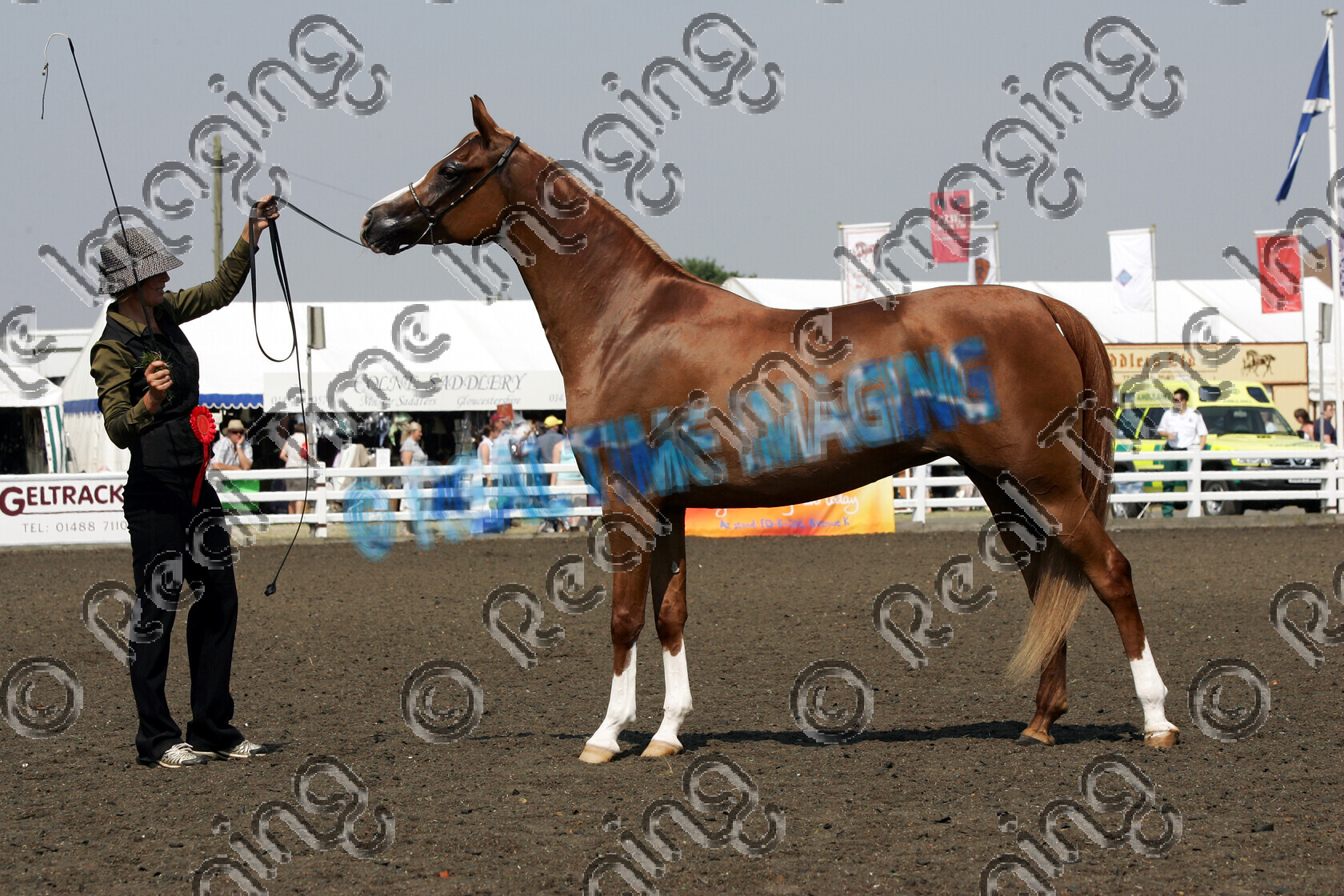 S06-31-4-091 copy 
 Keywords: The Royal Show rosette rosettes prize winner horse pony show showing Monday 3 July 2006 standing stood presentation championship champion in hand 1 Prawica, Mr P Atkinson chestnut mare Pure Bred Arab