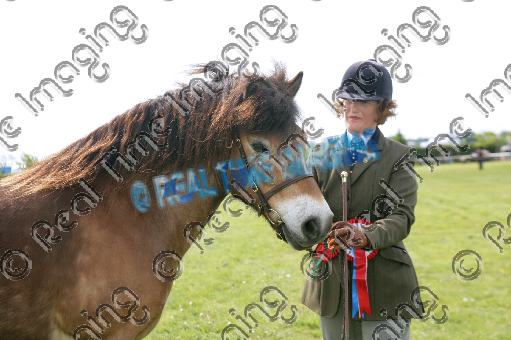 S07-22-03-019 
 Keywords: stand close up Exmoor Mountain and Moorland M&M Native Pony Championship Bay mealy mouth May 2007 Newark & Nottinghamshire County Show 474 ELSINOR GRACE DARLING view landscape A I Woodward In Hand mare Champion winner win won Rosette