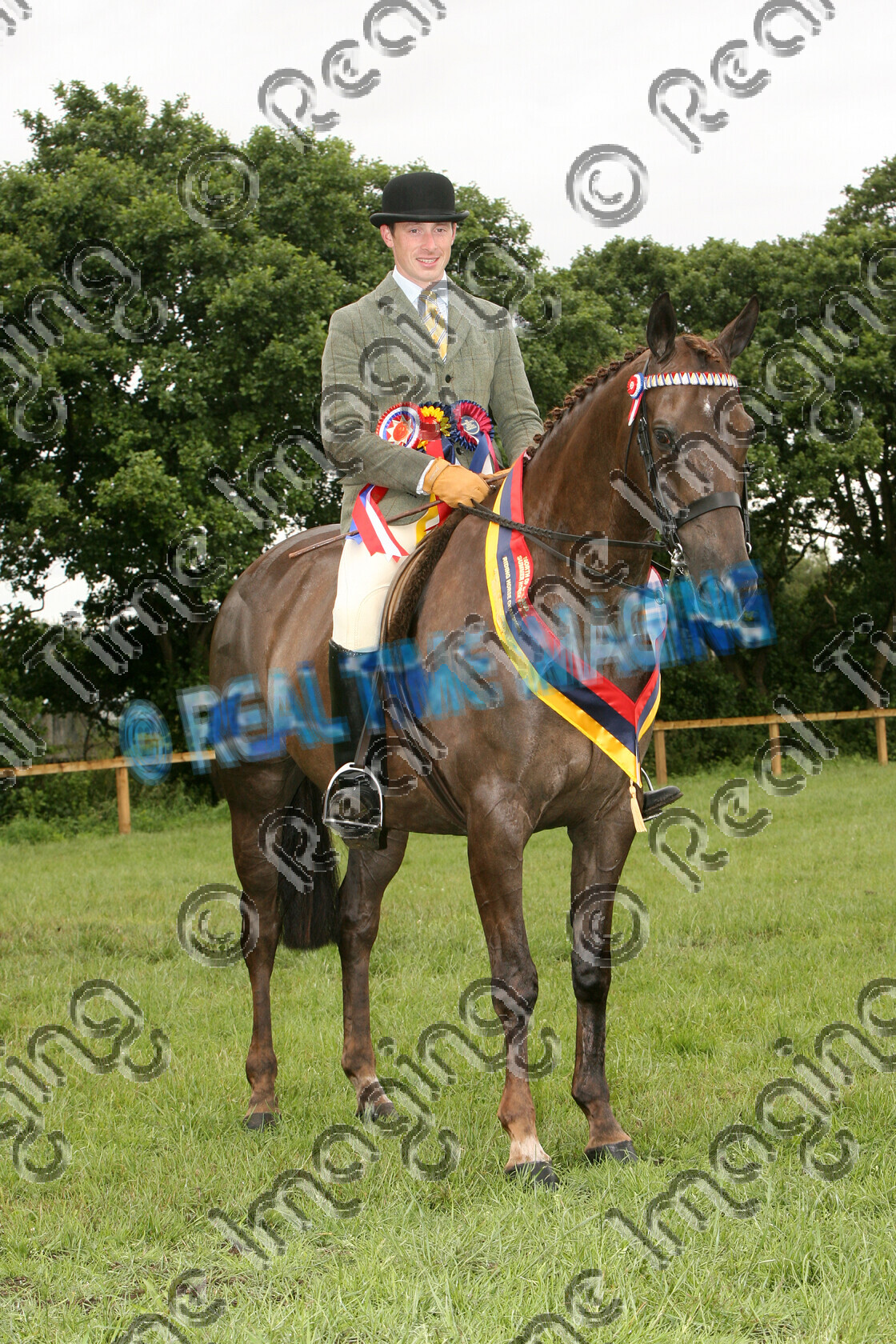 S09-30-11-024 
 Keywords: upright portrait, North Of England Horse Show, Warren Farm, Merseyside, UK, Saturday, 4, July, 2009, HOYS, Riding Horse, Championship, 1st first, winner win won, Champion, 1407, MILITARY CRISIS, `Owner: , Teesdale, T, `Rider: , Simon Charlesworth, chestnut, Small, brow band, Rosette, sash, stand, presentation