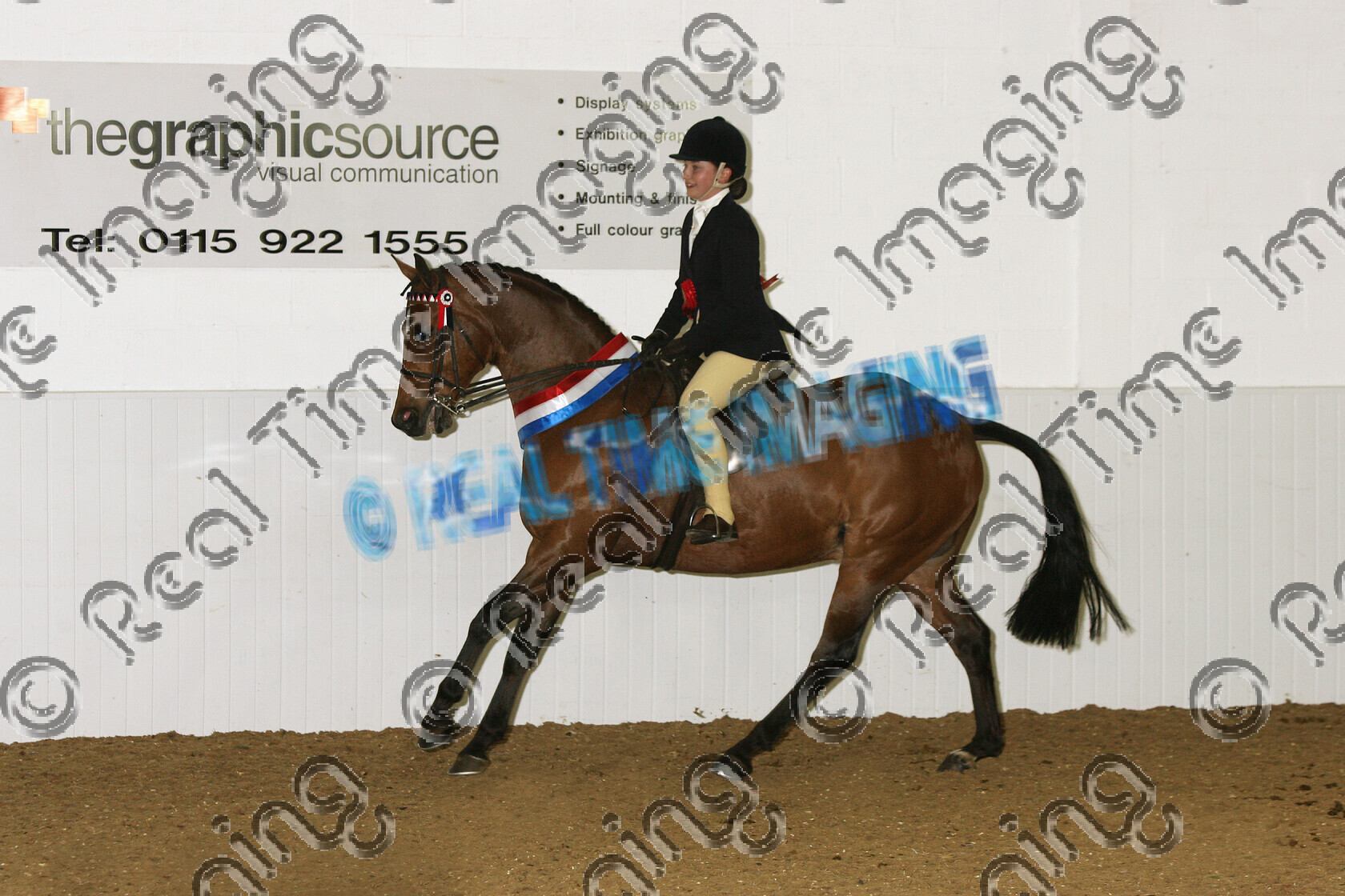 S07-14-15-360 
 Keywords: BSPS Winter Championship Show April 2007 Arena UK winner champion first place top placed Winter Rest Show Pony Champion 808: BANKSWOOD SCANDAL O: Mrs McDonald R: Amie McDonald bay gelding sash sashes rosette rosettes canter cantering action moving flat lap of honour