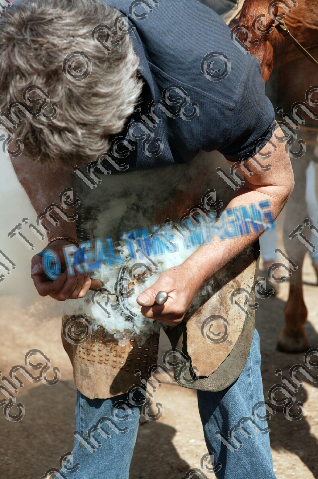 L06-01-01-007 
 Farrier 
 Keywords: farrier blacksmith horse shoe hoof hooves smoke country work farming yard hot shoeing traditional horse care foot nails