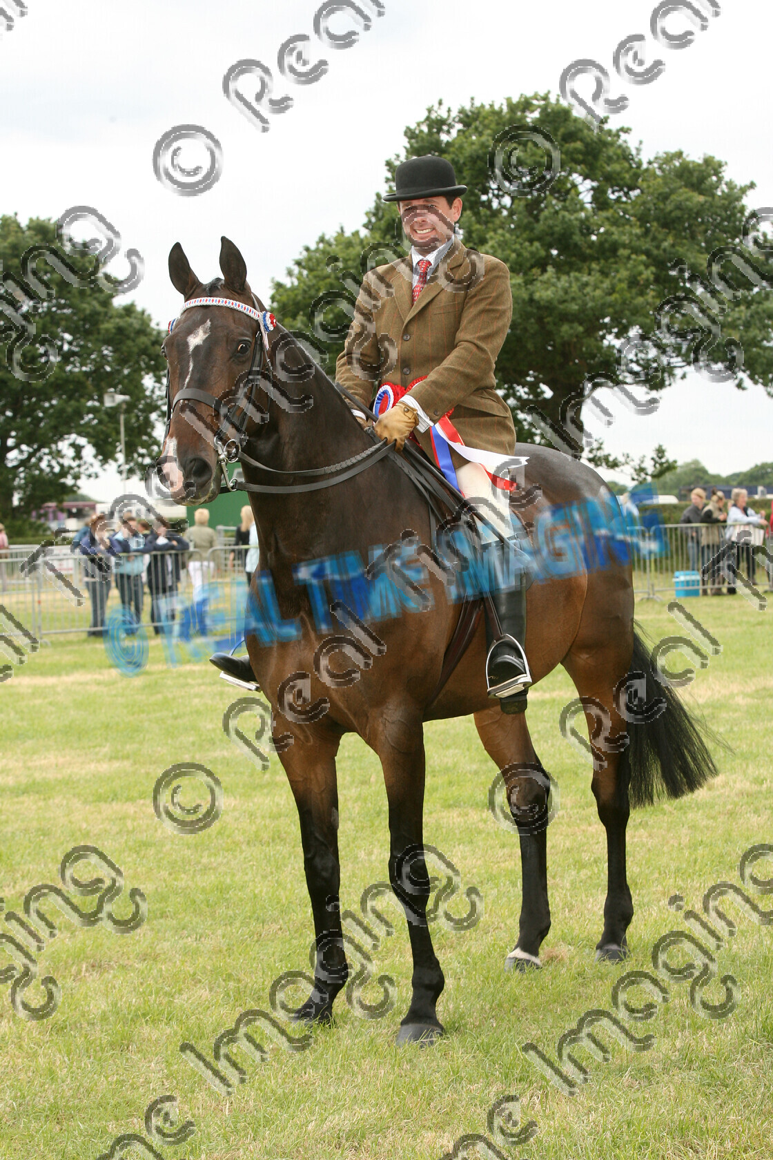 S08-25-07-157 
 Keywords: Cheshire County Show, Tabley, Knutsford, Cheshire, Tuesday, 17 June, 2008, upright portrait, HOYS, Riding Horse, Championship, 1st first, Champion, winner win won, 436, BROADSTONE DOULTON, `Owner: , `Rider: , Robert Walker, Bay, brow band, Rosette, stand, presentation