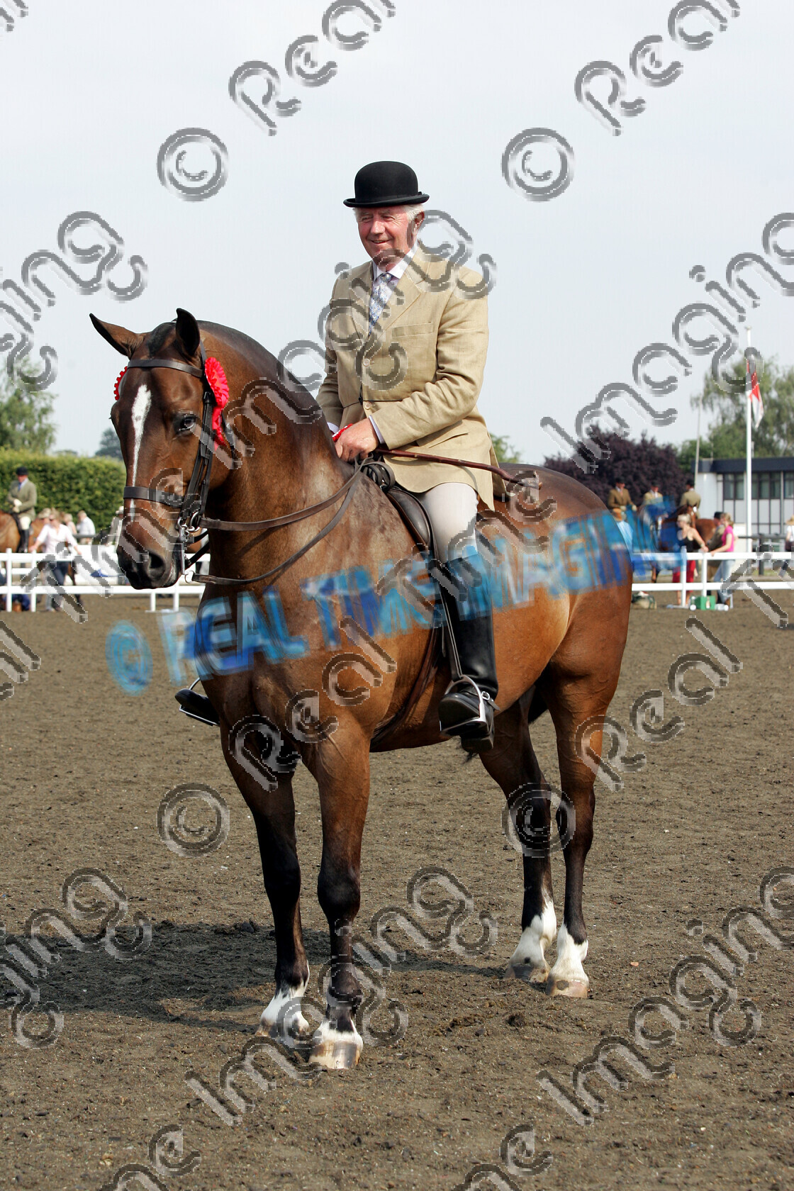 S06-32-8-129 copy 
 Keywords: The Royal Show rosette rosettes prize winner horse pony show showing Tuesday 4 July 2006 standing stood presentation championship champion ridden mounted 402 The Duke ridden by Robert Oliver,
Mrs S Cuddy Lightweight Riding Cob bay gelding