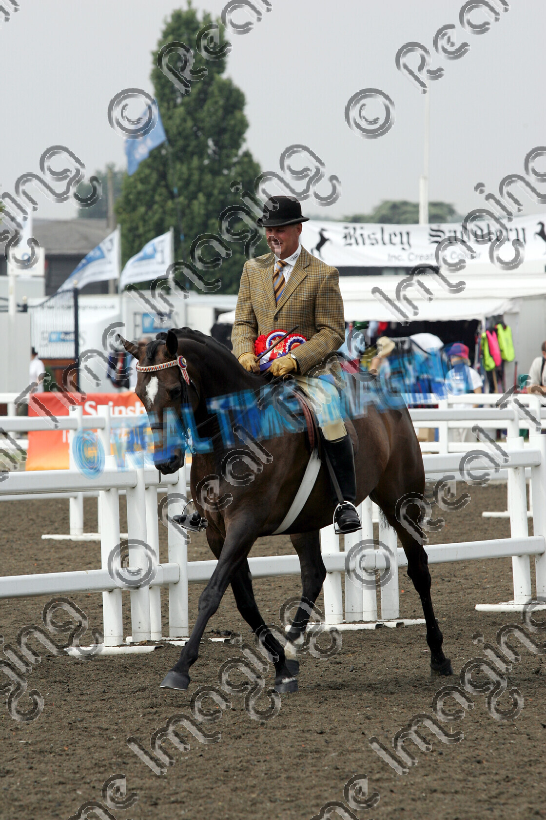S06-32-3-109 copy 
 Keywords: The Royal Show rosette rosettes prize winner horse pony show showing Tuesday 4 July 2006 championship champion ridden mounted trot trotting action moving flat first best 451 Secret Garden ridden by Allister Hood, Molly Lewin small hack brown mare