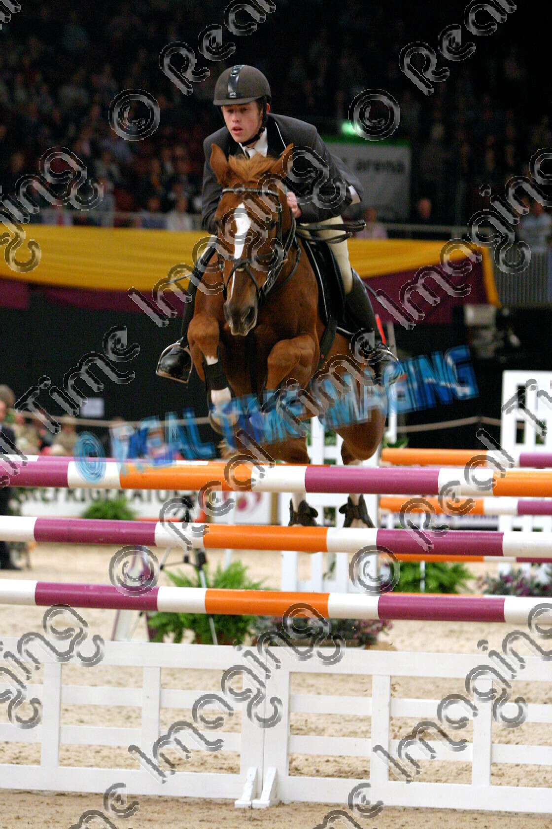 S05-66-M7-014 
 HOYS 2005: BEIB 6 Year Old Horse Champion 
 Keywords: horse of the year show 2005 05 hoys october 10 14 friday showjumping showjumper 9 BEIB 6 Year Old Horse Champion 158 Senette Scott Brash chestnut jump jumping fence action