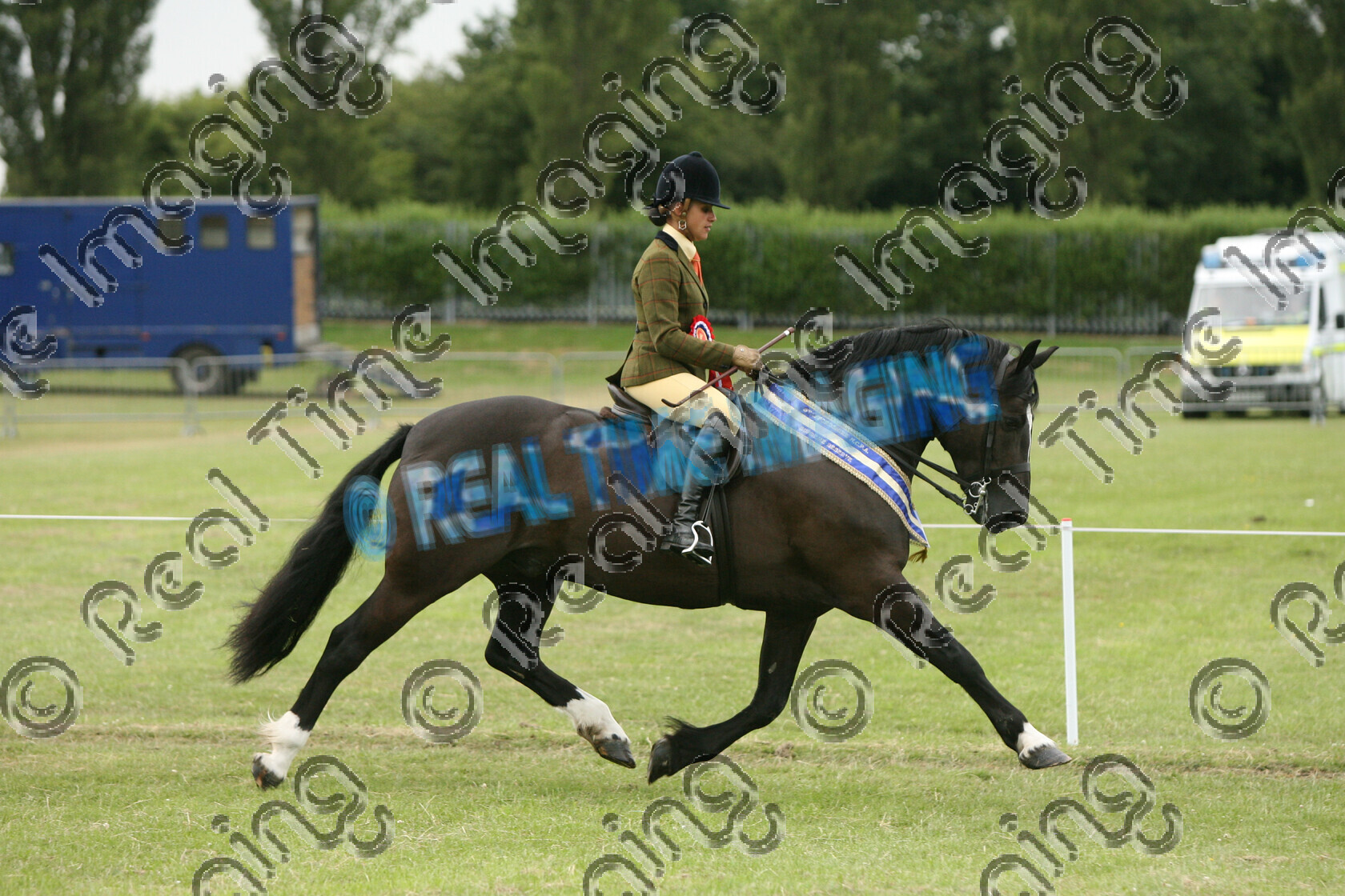 S09-31-12-059 
 Keywords: NCPA Staffordshire Country Festival, Staffs, Walsall Airport, Aldridge, UK, Sunday, 5, July, 2009, view landscape, HOYS, Mountain and Moorland M&M, Championship, Reserve, Supreme, Ridden, Champion, 572, `Rider: , Tracey Millward, Welsh Section D, black, stallion, Native Breed, Rosette, sash, flat, trot, lap of honour