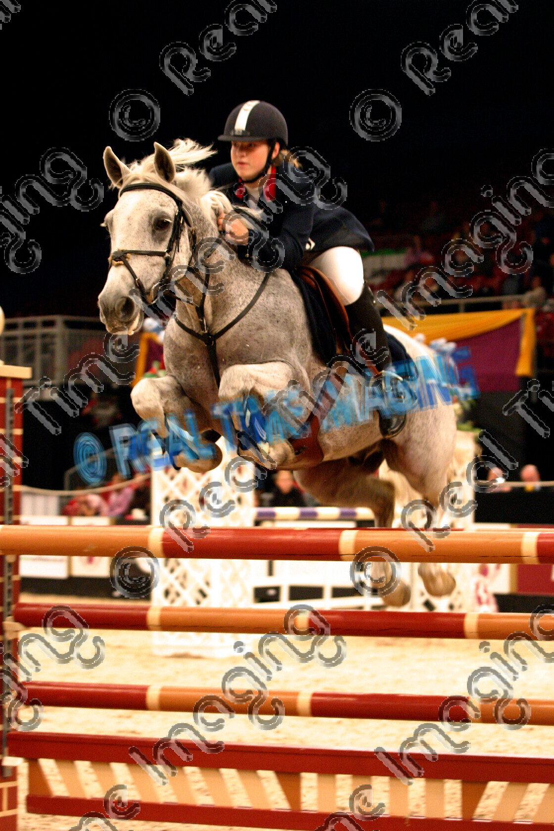 S05-64-M8-075 
 HOYS 2005: Squibb & Davies National Junior Foxhunter Championship winner 
 Keywords: horse of the year show 2005 05 hoys wednesday 12 10 october 3 Squibb & Davies National Junior Foxhunter Championship winner 197 who's bob claire bailey showjumper showjumping jump jumping fence action