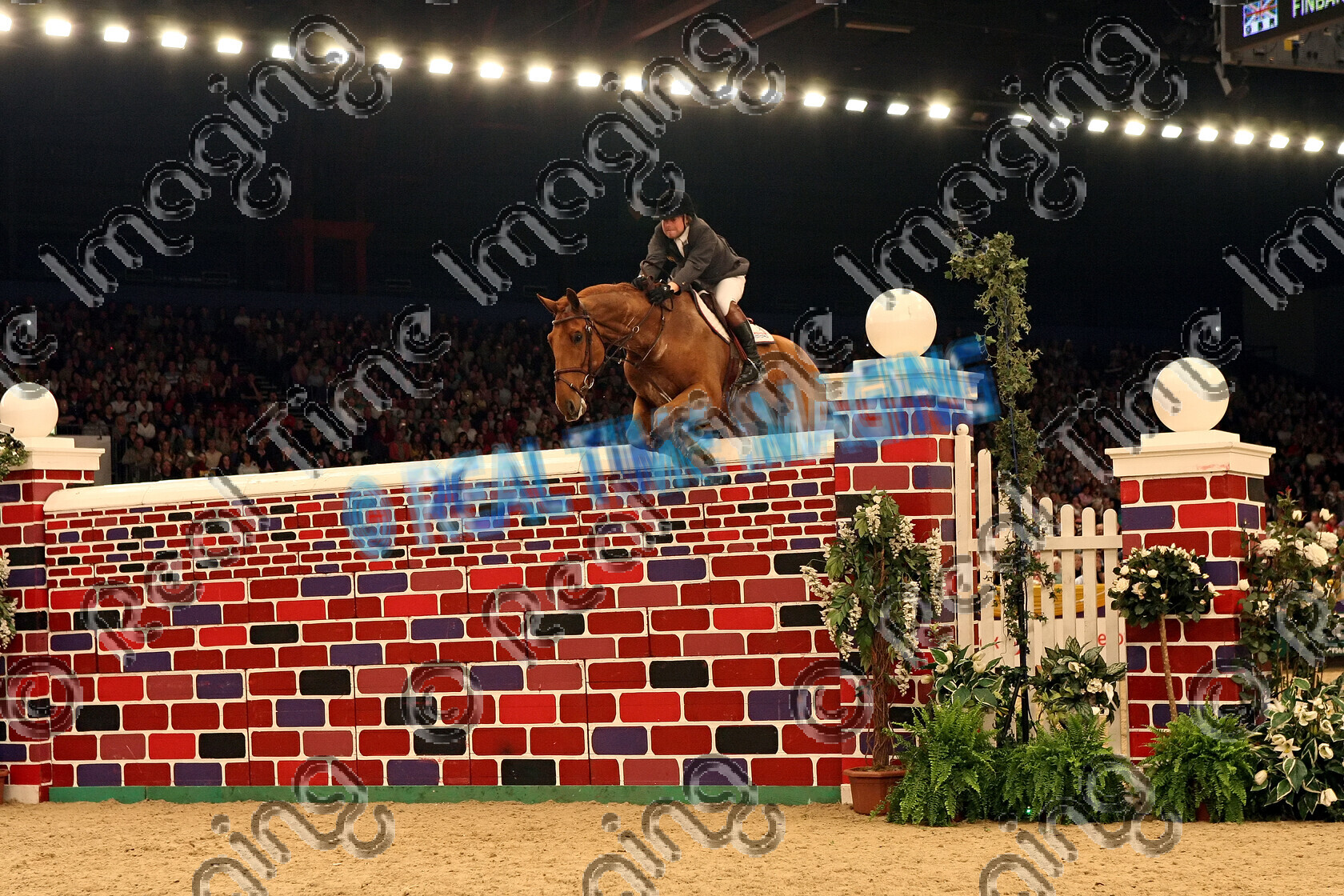 S08-58-10-196 
 Keywords: The Horse Of The Year Show, HOYS, NEC Arena, Birmingham, UK, Saturday, 11, October, 2008, view landscape, indoors, The Puissance, 1st first, winner win won, 67, FINBARR V, `Owner: , Hall, Mandy, `Rider: , Robert Whitaker, chestnut, Gelding, showjump, jump, wall, 7 feet 3 inches 2.1m
