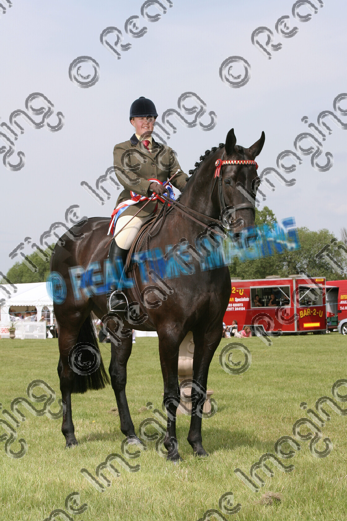 S07-28-04-033 
 Keywords: 927 BROADSTONE DARWIN RIHS Riding Horse Championship stand brown Gelding 3 June 2007 Midland Counties Show Uttoxeter Racecourse Owner: Rider: Miss M Henson upright portrait Champion winner win won Rosette