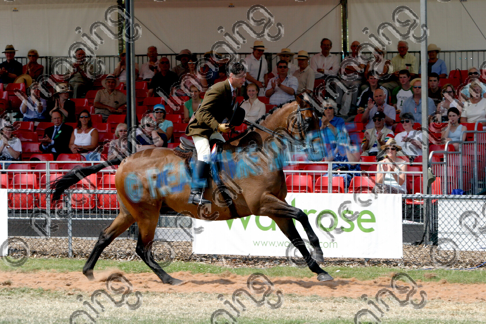 S06-32-M4-076 copy 
 Keywords: The Royal Show rosette rosettes prize winner horse pony show showing Tuesday 4 July 2006 championship champion ridden mounted gallop galloping action moving flat 76 Classic Gold II ridden by Robert Walker, Heather McLoy Middleweight Hunter bay gelding