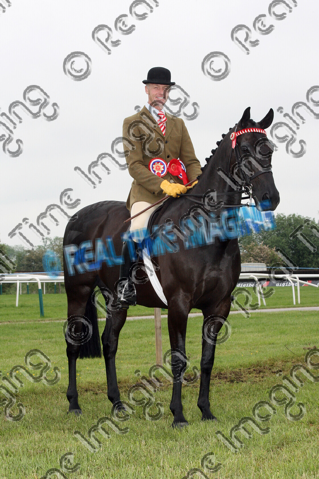 S08-22-04-004 
 Keywords: Midland Counties Show, Uttoxeter Racecourse, UK, Sunday, 1 June, 2008, upright portrait, 295, Ridden, Grand Prix, Championship, 1st first, Champion, winner win won, DERWENT SHADOW PLAY, `Owner: , McCulloch, Miss L, `Rider: , Richard Telford, black, brown, Gelding, large, brow band, Rosette, stand, presentation