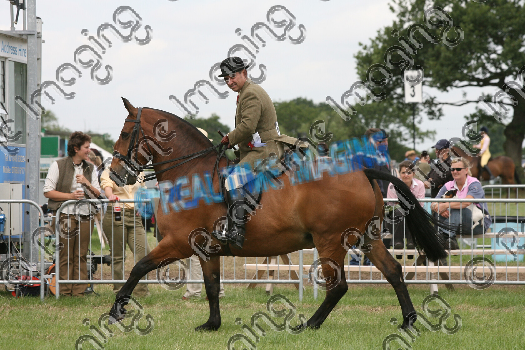 S07-30-3-105 
 Keywords: 644, DR BOB, HOYS, Ridden, Cob, Championship, Champion, winner win won, `Owner: , `Rider: , Ian Darcy, June 2007, Cheshire County Show, Tabley, Knutsford, Cheshire, Bay, Rosette, horse pony, Canter, lap of honour, view landscape, Lightweight
