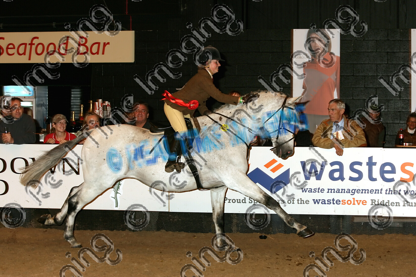S06-62-7-061 
 Keywords: 1567 PEBBLY GOOSE 8 October 2006 Class 48 The Top Spec Intermediate Working Hunter
Pony of the Year Owner Rider Sarah Challinor The Horse Of The Year Show champion championship gallop galloping flat action gelding grey gray white lap of honour rosette rosettes HOYS
