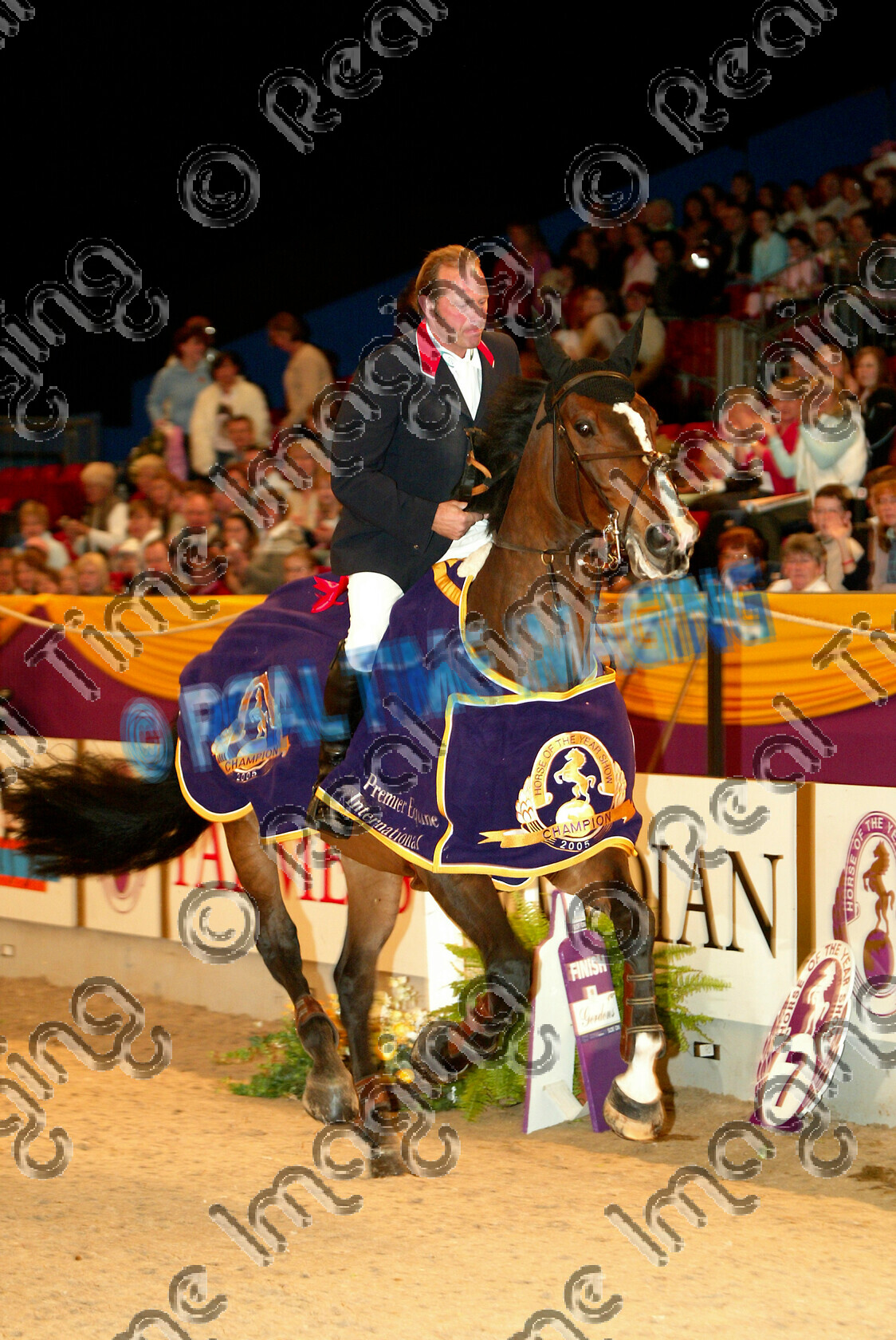 S05-68-T3-062 
 HOYS 2005: The hoys.co.uk Cup Winner 
 Keywords: horse of the year show 2005 05 hoys sunday 16 10 october showjumper showjumping 24 hoys.co.uk Cup Winner 7 Animation Geoff Luckett bay mare action lap honour spotlight rug canter