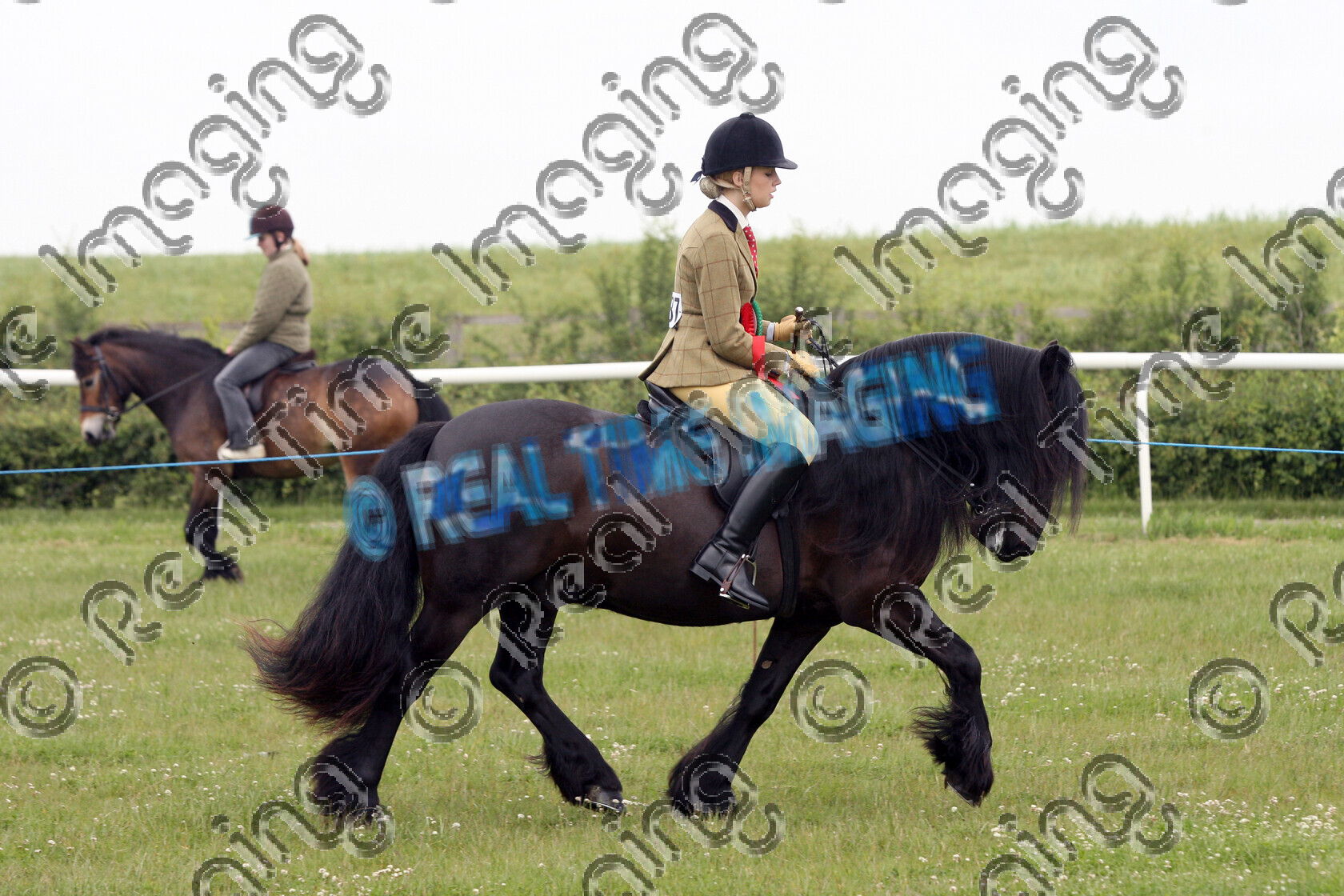 S08-23-08-040 
 Keywords: East Anglian Native Pony Society Annual Show, Huntingdon Racecourse, Cambridgeshire, UK, Saturday, 7 June, 2008, view landscape, Mountain and Moorland M&M, Native Breed, NPS, Junior, Ridden, Championship, 1st first, Champion, winner win won, 287, WELLBROW BLACK KNIGHT, `Owner: , `Rider: , Emma Howlett, Fell, black, Gelding, trot, flat, Rosette