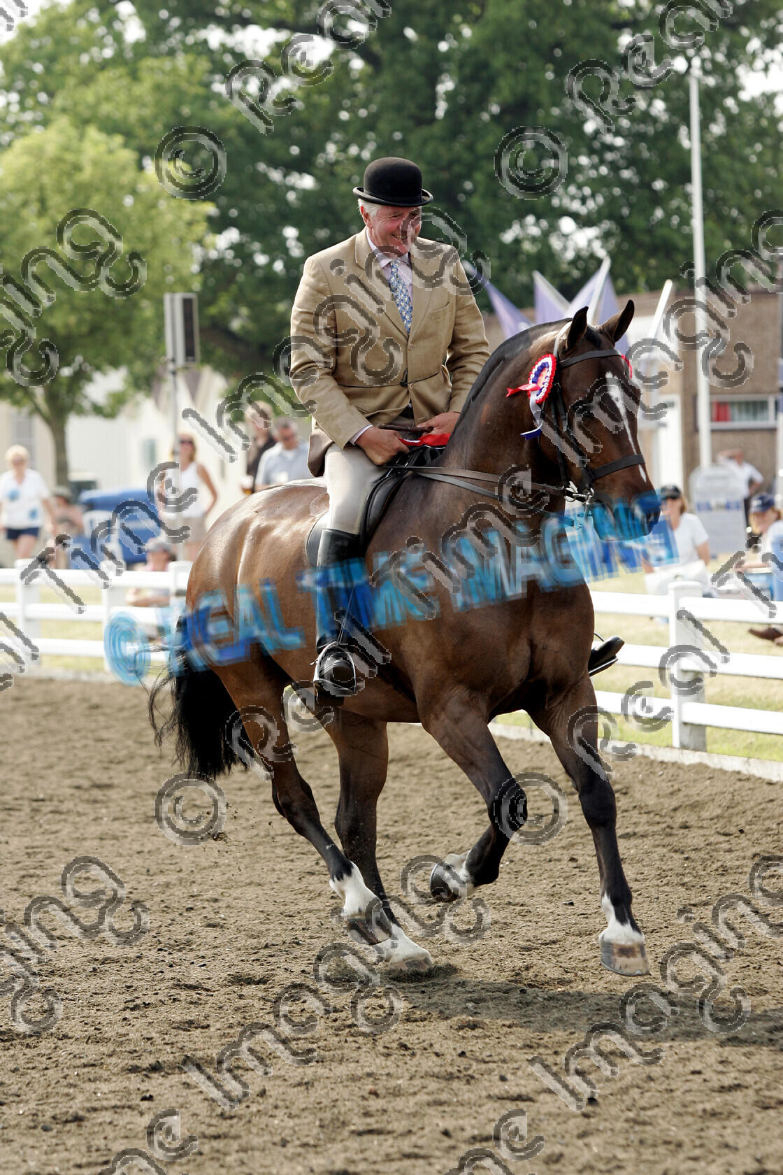 S06-32-8-130 copy 
 Keywords: The Royal Show rosette rosettes prize winner horse pony show showing Tuesday 4 July 2006 canter cantering action championship champion ridden mounted 402 The Duke ridden by Robert Oliver,
Mrs S Cuddy Lightweight Riding Cob bay gelding