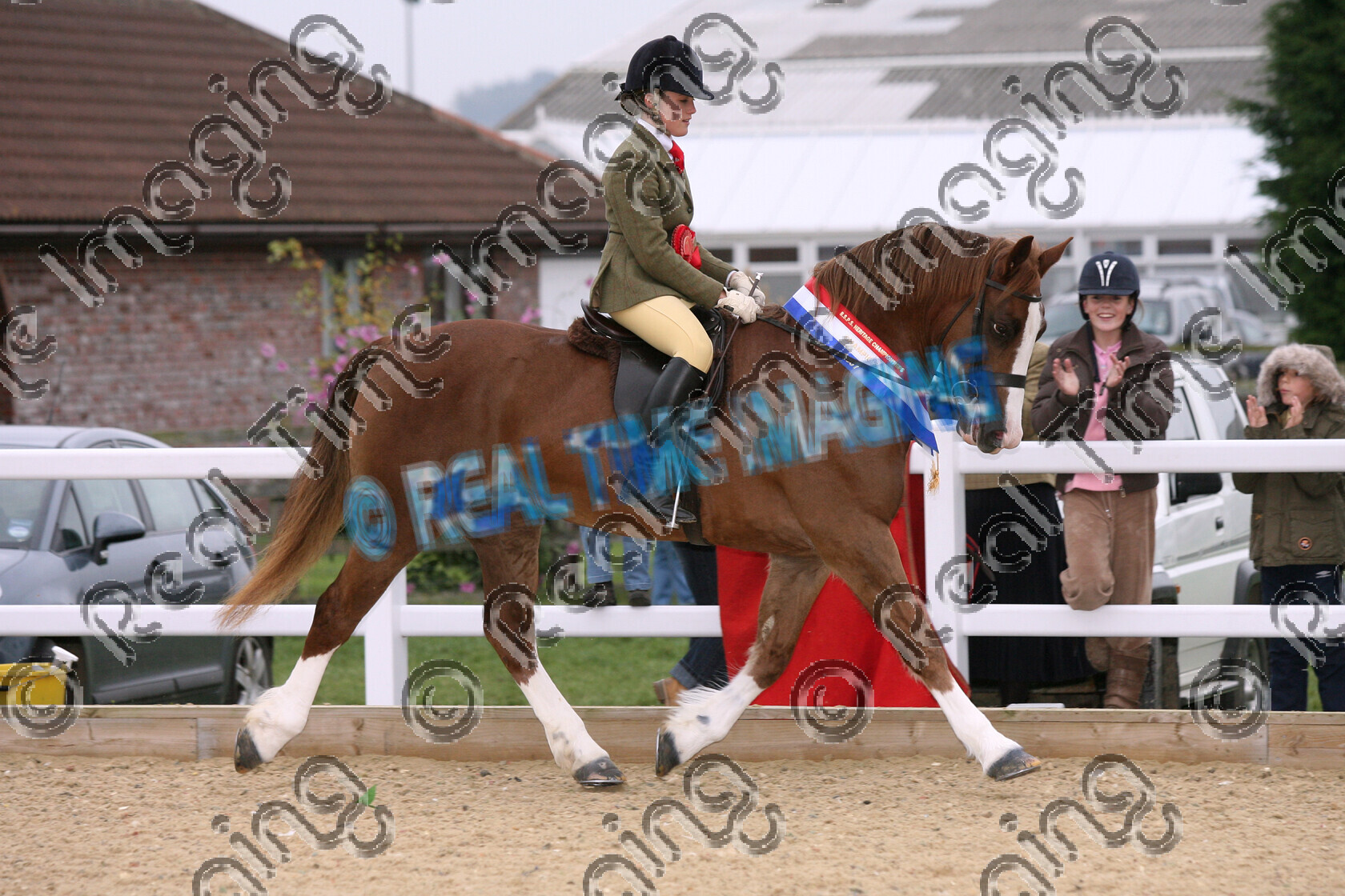 S07-71-03-180 copy 
 Keywords: BSPS 1st Heritage Championships, Arena UK, Allington, Lincolnshire, UK, Thursday, 25 October, 2007, horse pony, show, Mountain and Moorland M&M, Native Breed, 244, PENNAL CALON MAI, Heritage, Supreme, Ridden, Championship, Novice, Champion, winner win won, `Owner: , Stapleton, Mrs J, Smalley, Miss C, `Rider: , Greer Taverner, Welsh Section D, chestnut, mare, view landscape, lap of honour, trot, Rosette, sash
