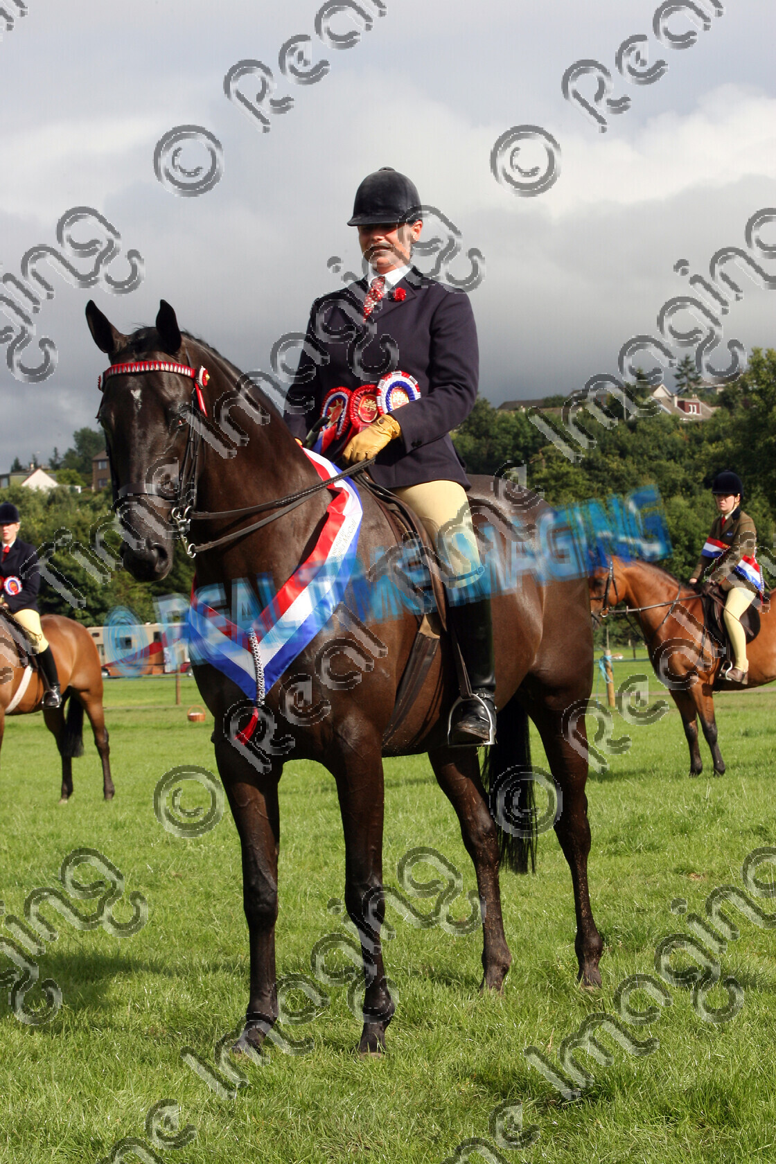S08-42-06-225 
 Keywords: The Scottish Horse Show, Springwood Park, Kelso, Scotland, Saturday, 9 August, 2008, upright portrait, Supreme, Ridden, Championship, Hack, HOYS, 1st first, Champion, winner win won, 109, CLASSIC CHAUVINIST, `Owner: , `Rider: , Lyndsey Kelbie, black, Gelding, thoroughbred cross, sash, Rosette, stand, presentation