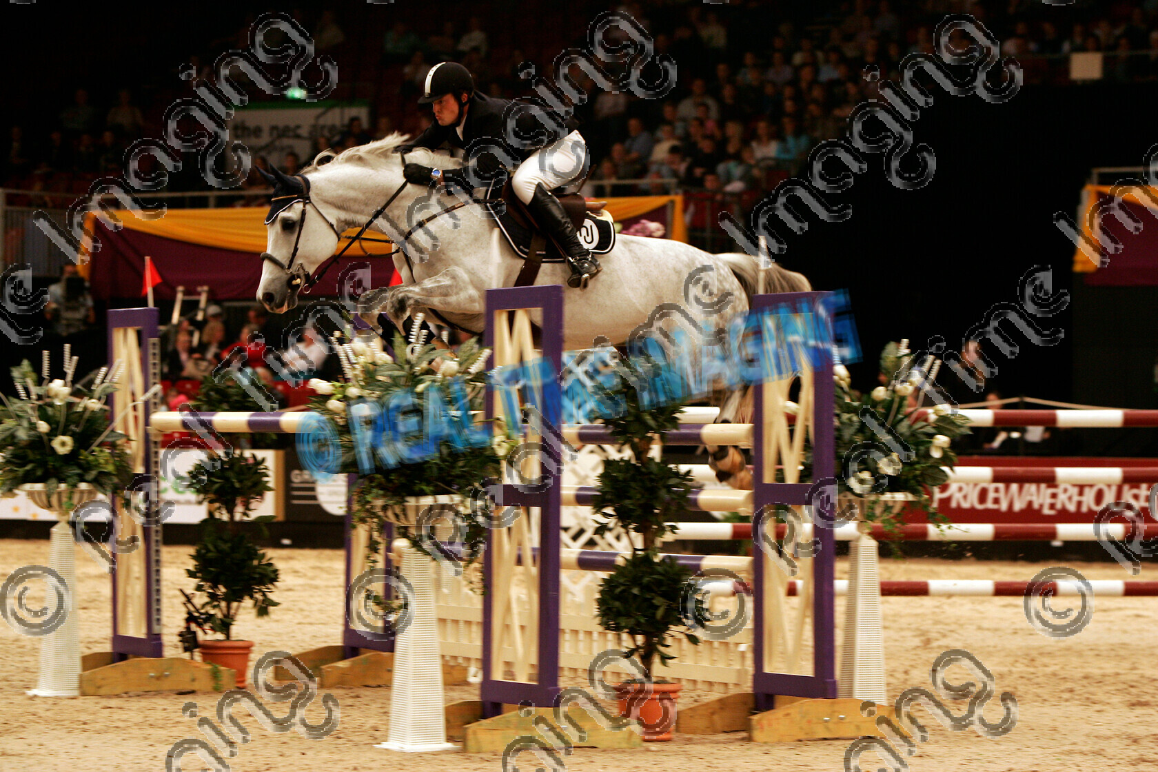 S05-65-10-027 
 HOYS 2005: The Thomas Bates & Sons Classic Winner 
 Keywords: horse of the year show 2005 05 hoys october showjumping showjumper 10 jump jumping fence action 1316 Thomas Bates & Sons Classic Winner 88 al madoob james paterson robinson grey gray gelding thursday