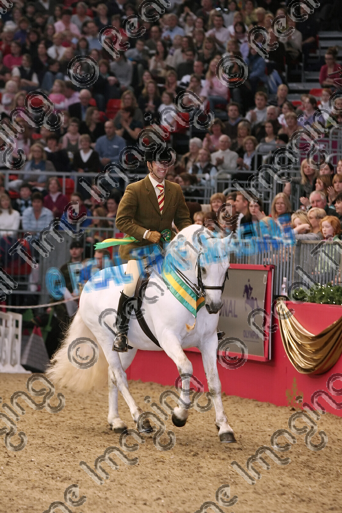 S07-72-04-047 
 Keywords: Thursday, 20 December, 2007, The London International Horse Show, Olympia, UK, NPS, Baileys Horse Feeds, Ridden, Mountain and Moorland M&M, Supreme, Championship, indoors, Native Breed, 1, BUNOWEN CASTLE RI, Champion, winner win won, `Owner: , Webb, Mrs J, `Rider: , Matthew Lawrence, Connemara, grey gray, white, upright portrait, Rosette, sash, smile, Canter, lap of honour